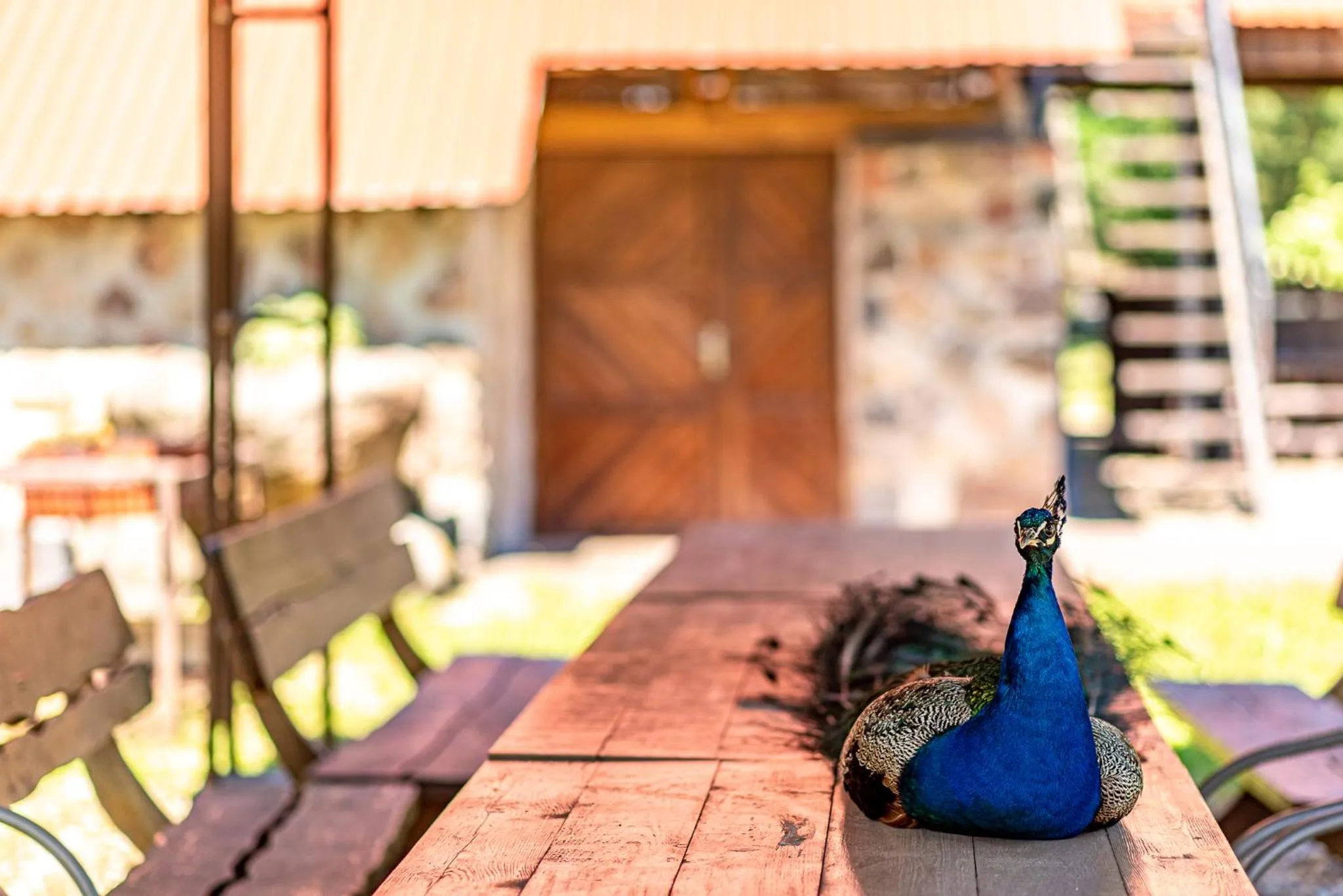 Taujėnų dvaro svečių namai