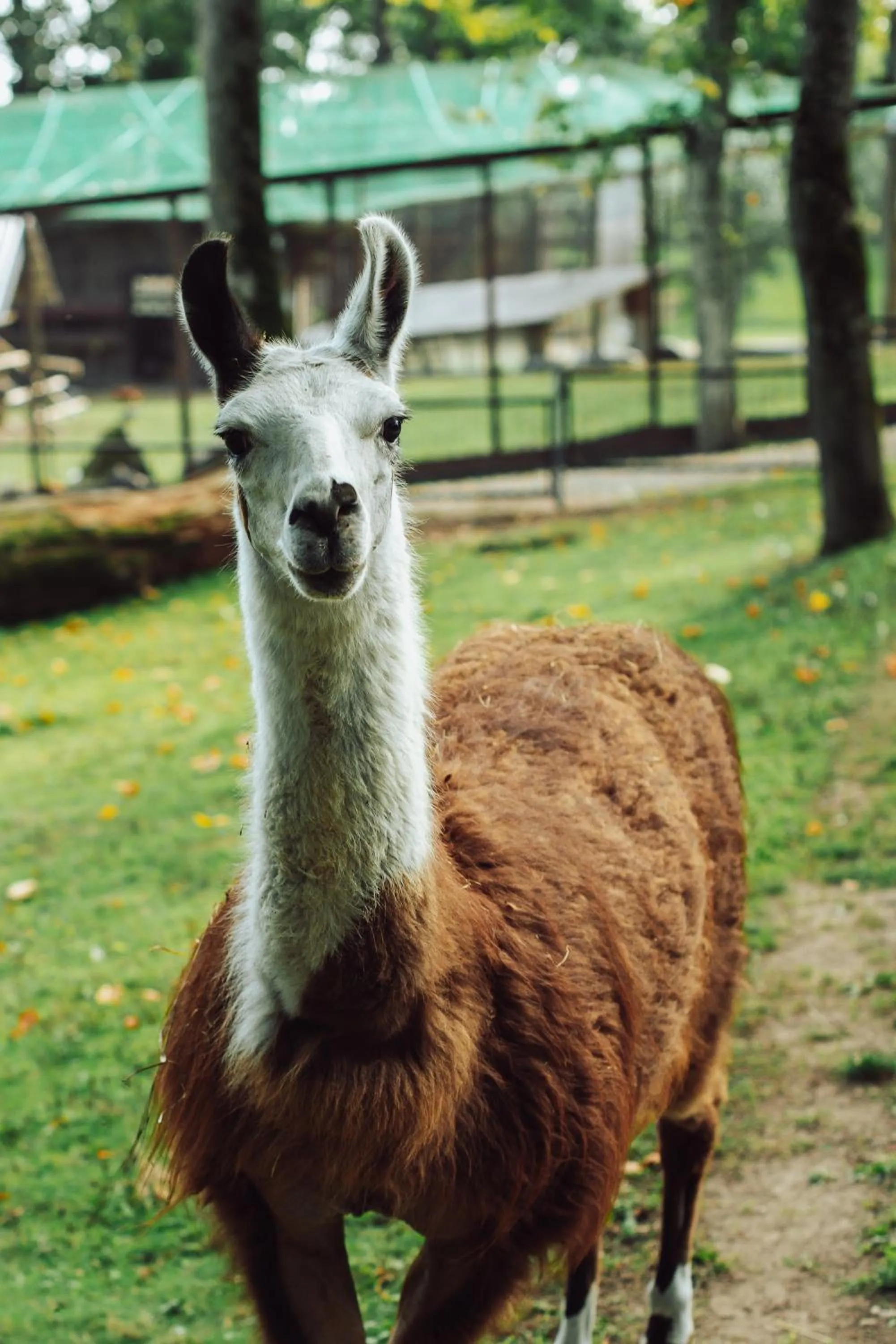 Taujėnų dvaro svečių namai