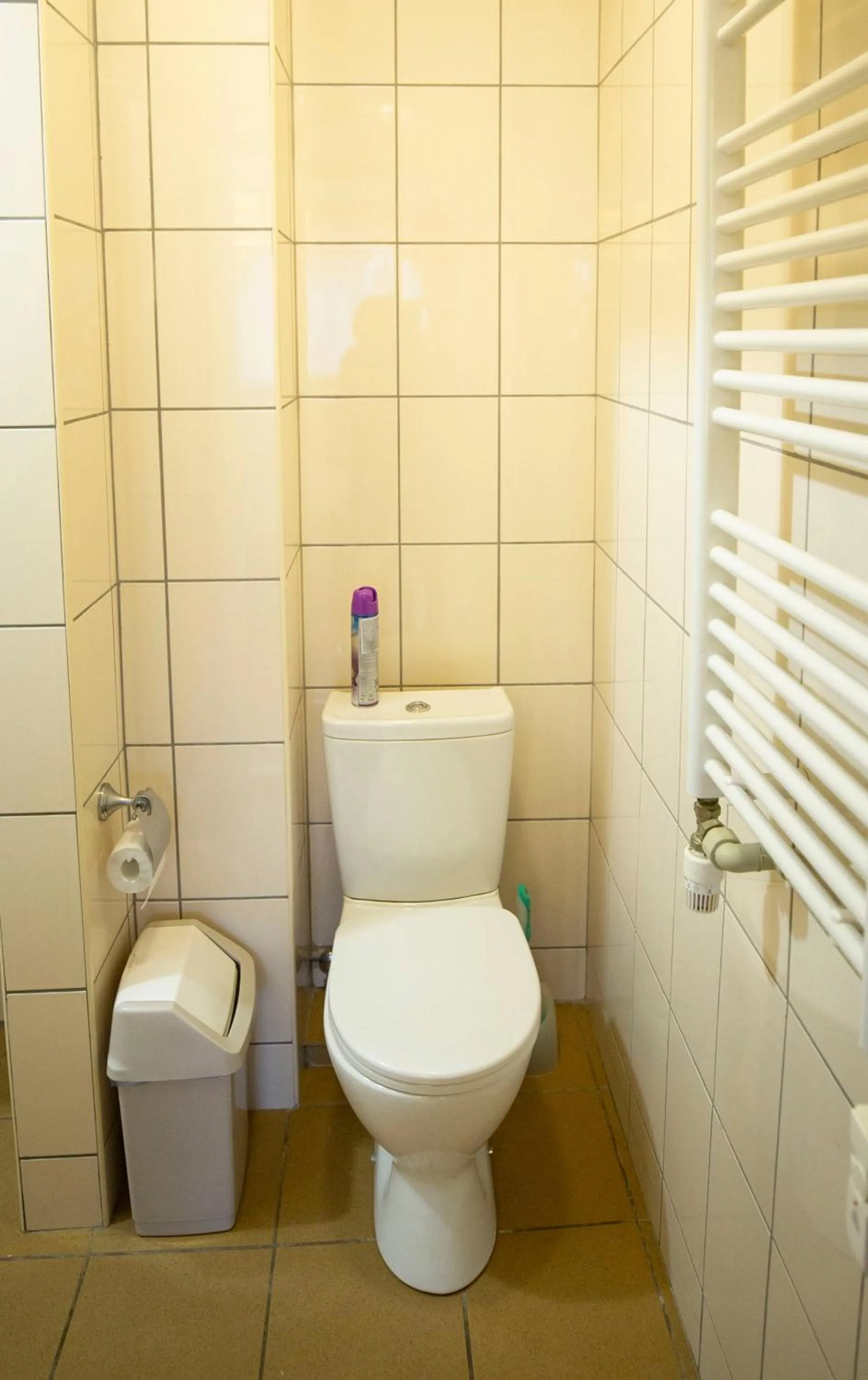 Toilet in Taujėnų dvaro svečių namai