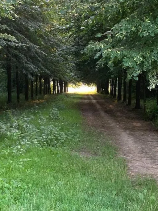 Rue Haute by M&M 4 sterren bed en breakfast vlakbij Maastricht