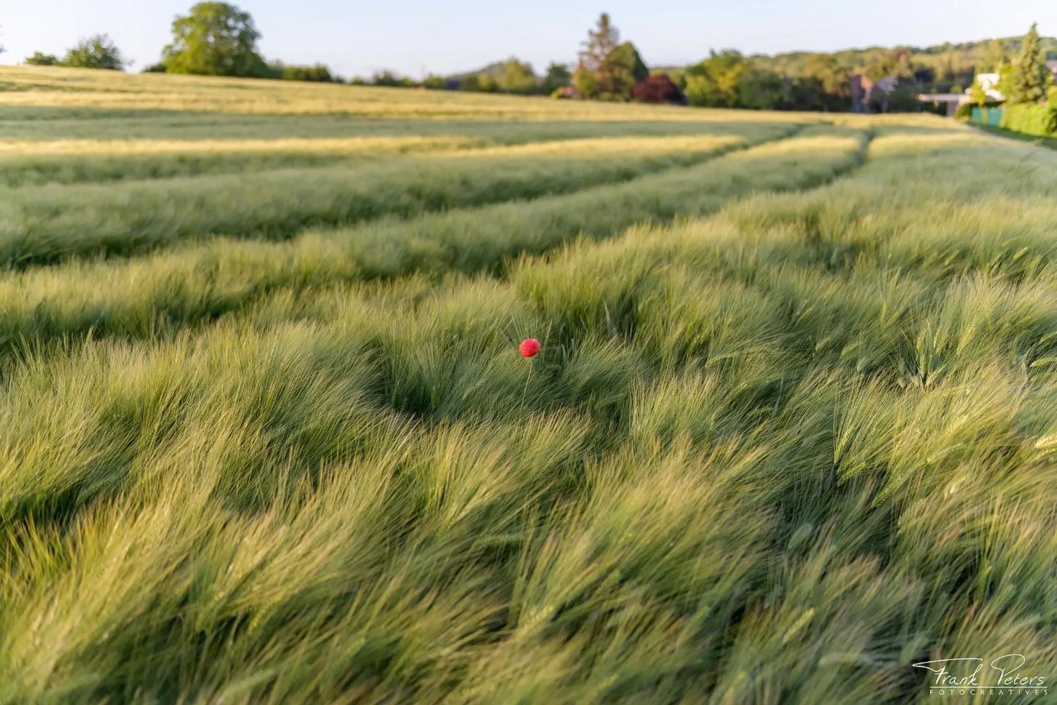 Area and facilities in Rue Haute by M&M 4 sterren bed en breakfast vlakbij Maastricht