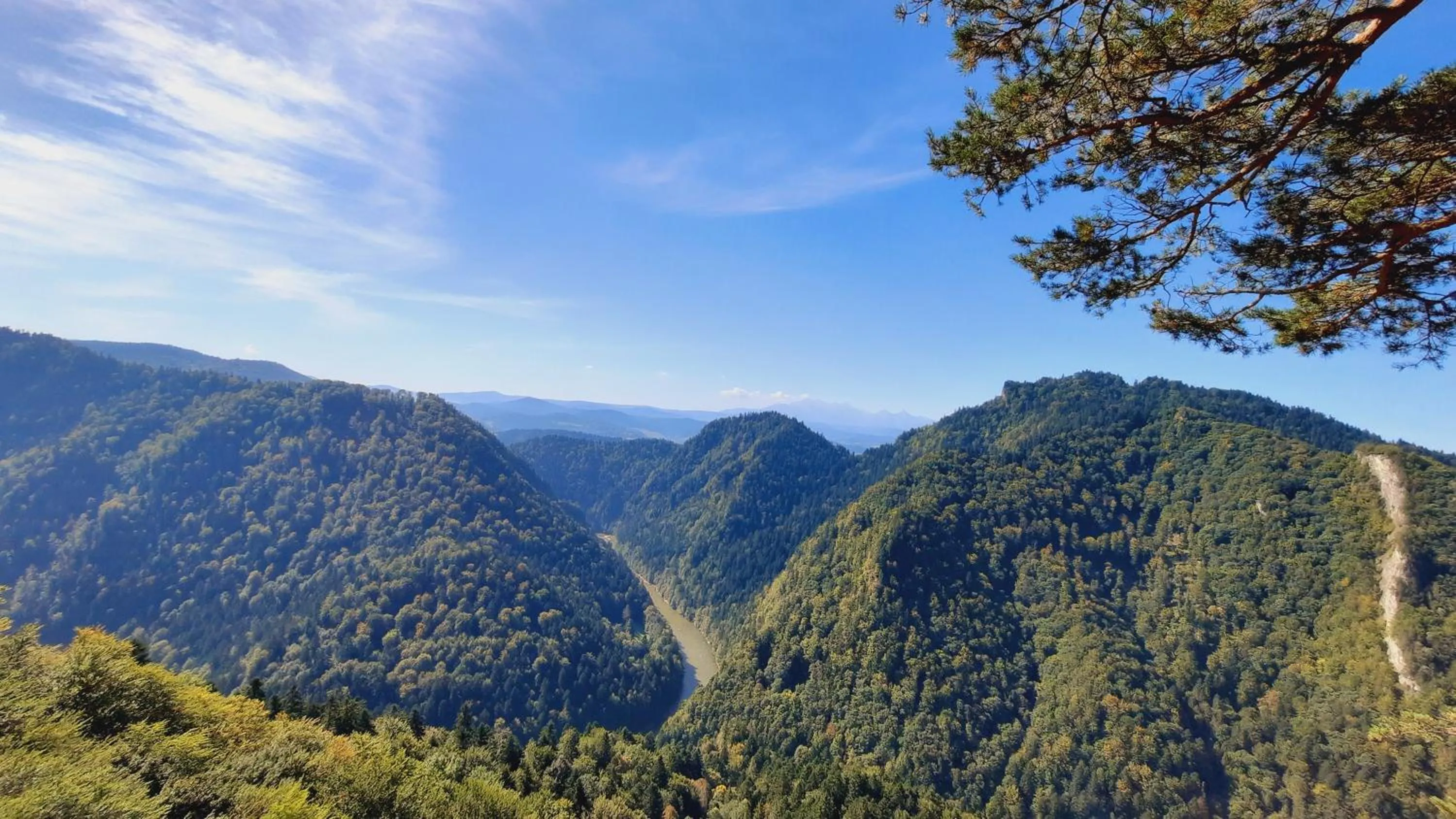 Natural landscape in Willa Pod Kolejką