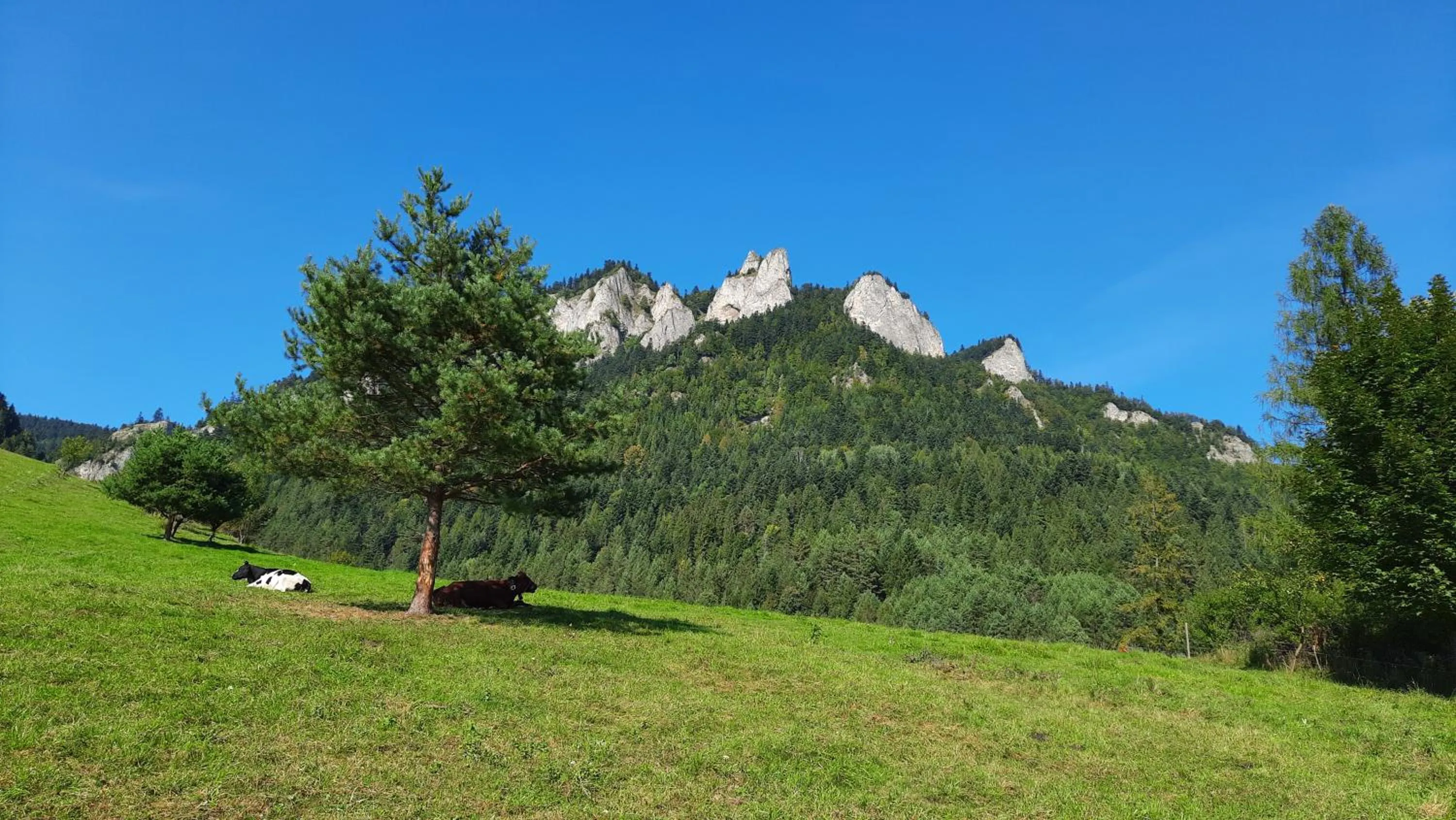 Nearby landmark in Willa Pod Kolejką