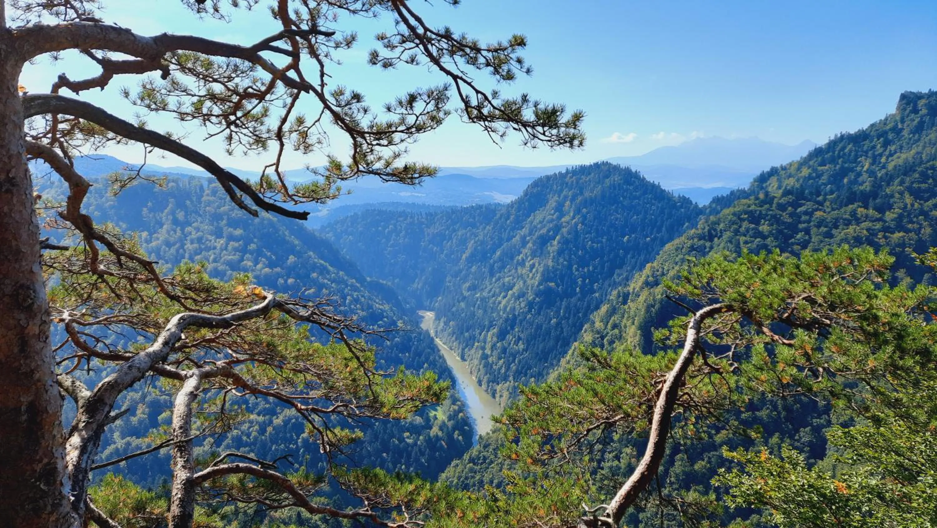 Natural landscape in Willa Pod Kolejką