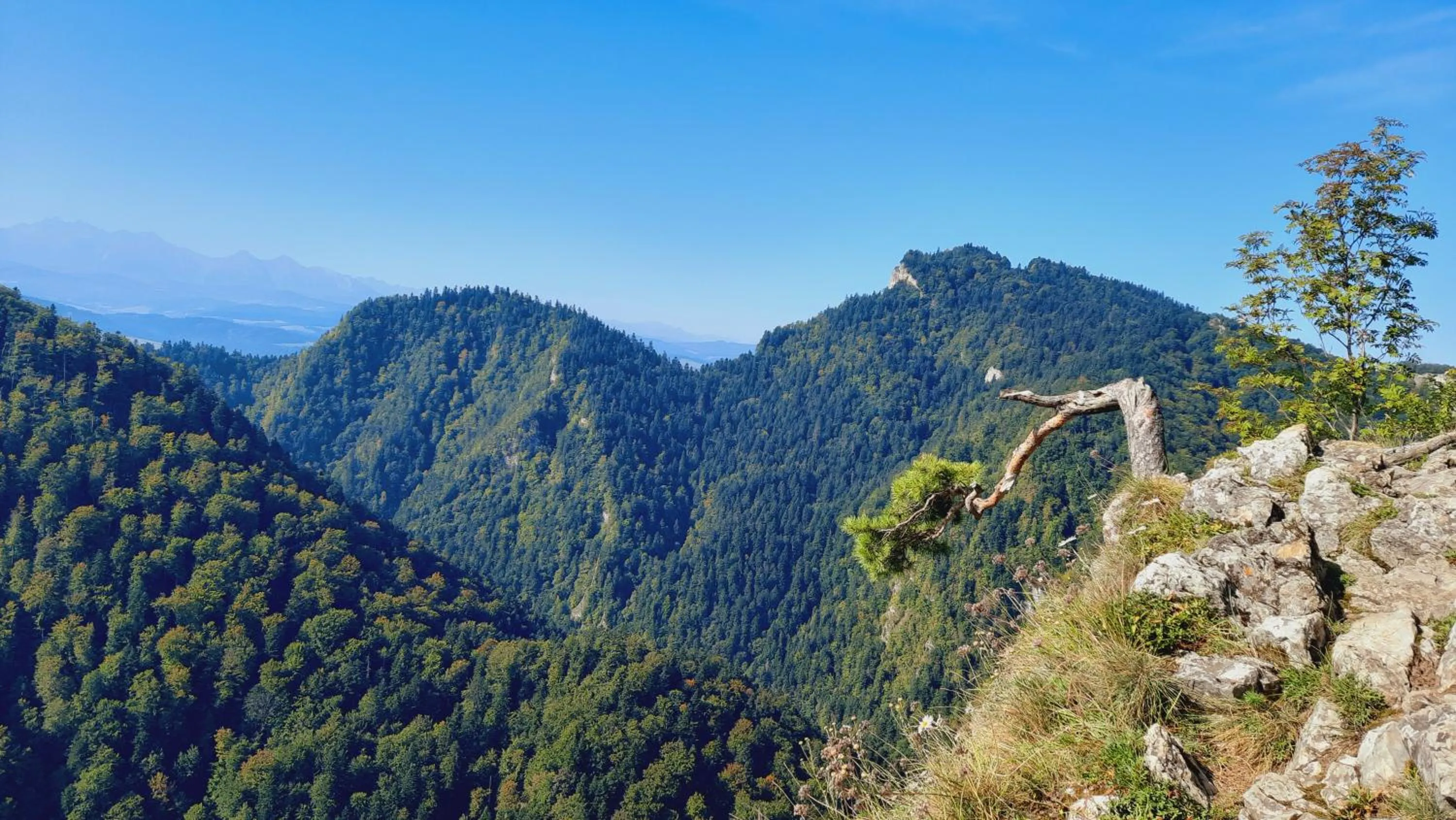 Natural landscape in Willa Pod Kolejką