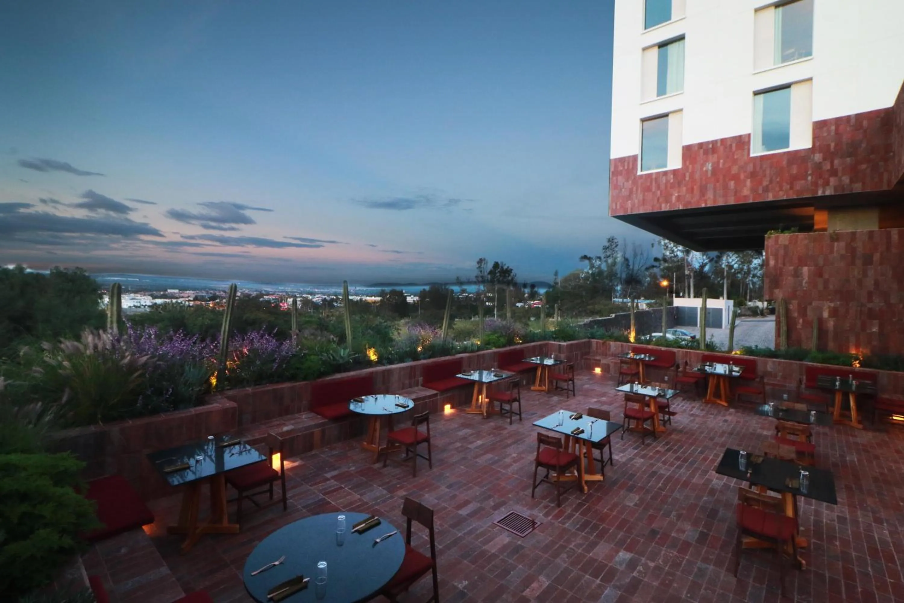 Restaurant/places to eat in Albor San Miguel de Allende, Tapestry Collection by Hilton