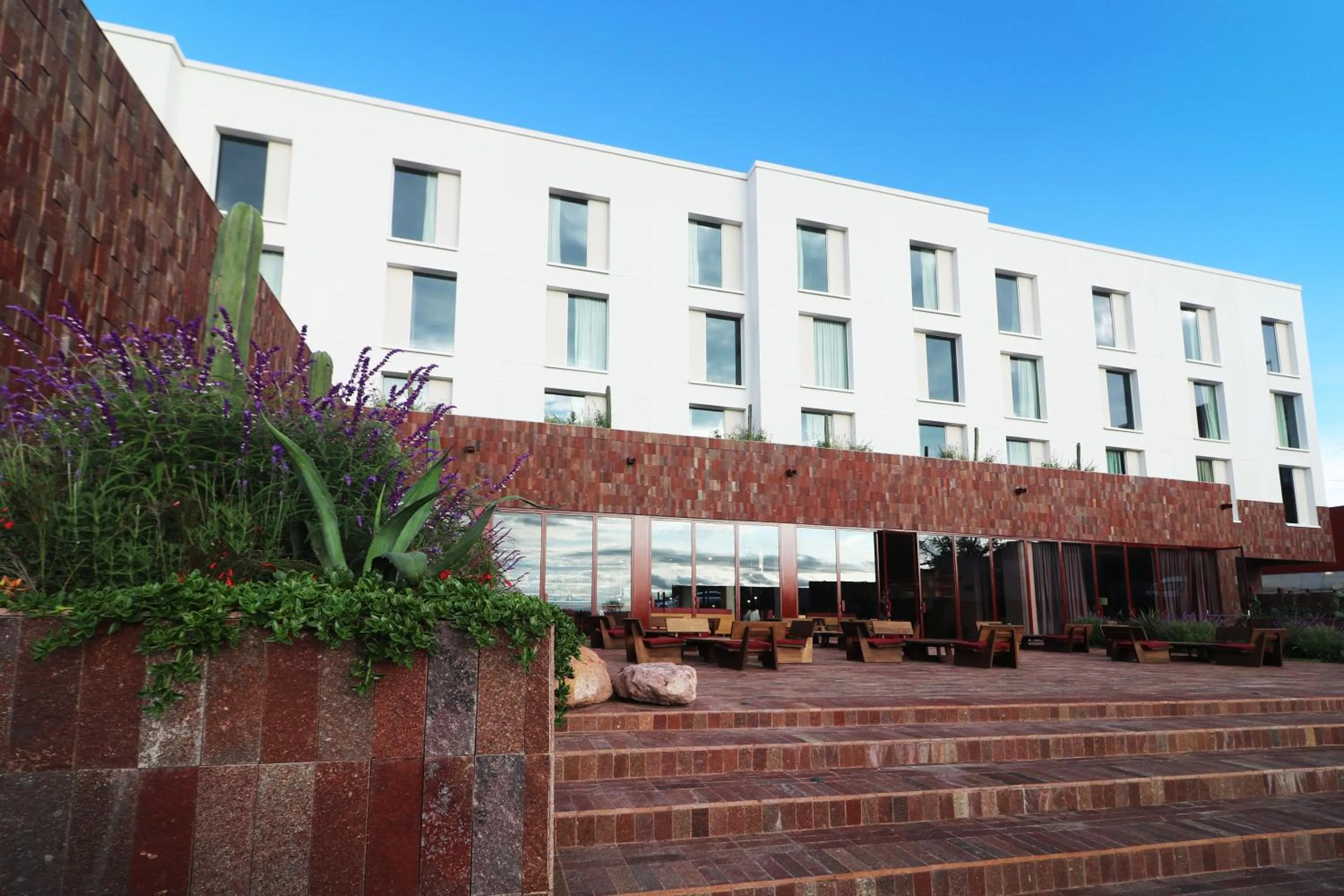 Patio in Albor San Miguel de Allende, Tapestry Collection by Hilton