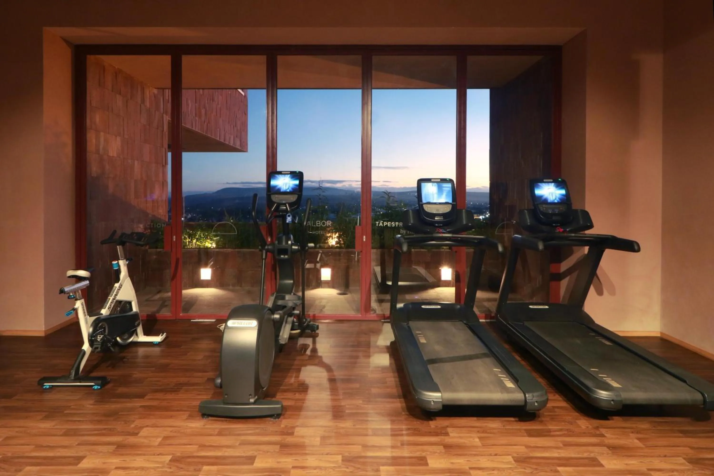 Fitness centre/facilities in Albor San Miguel de Allende, Tapestry Collection by Hilton