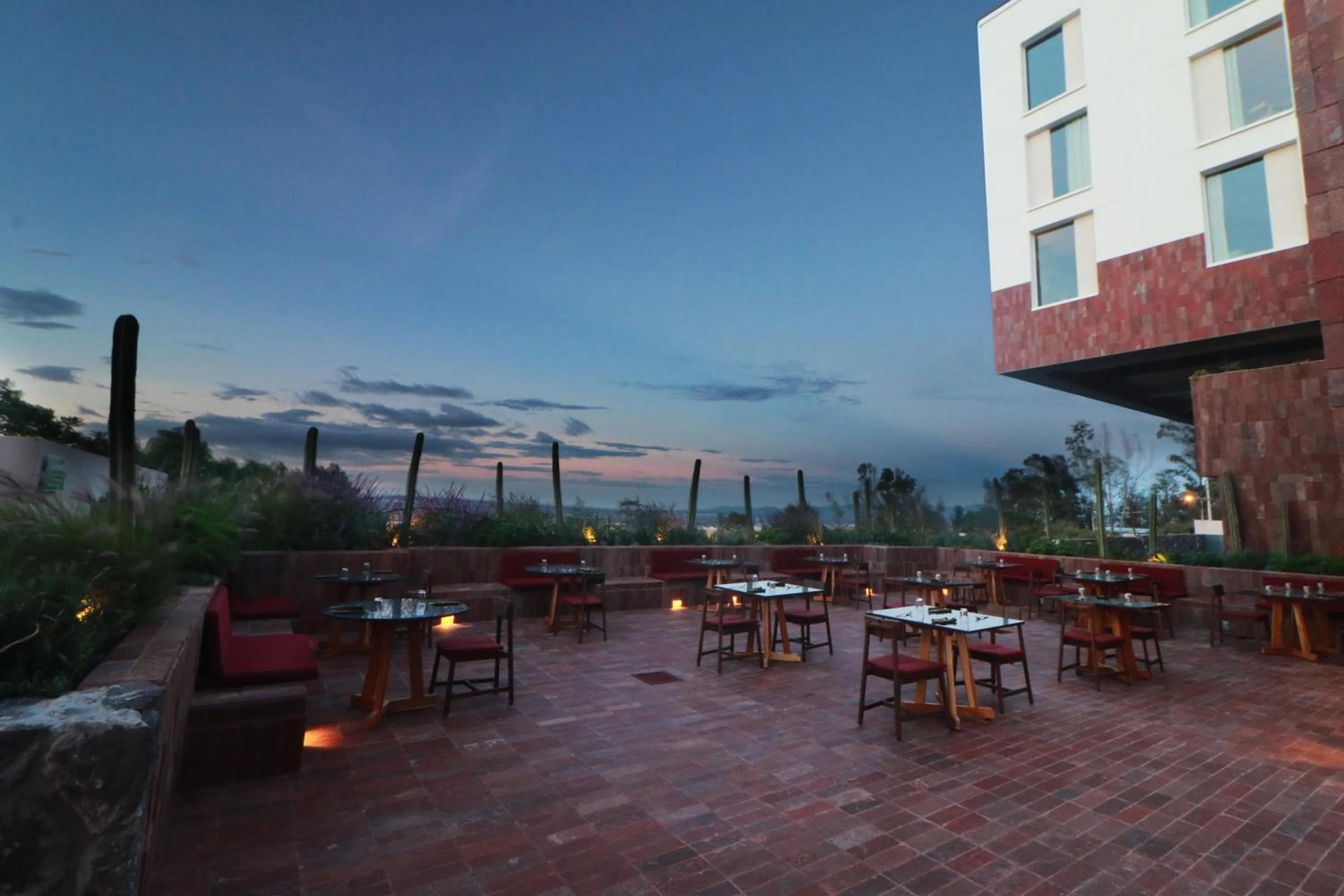 Restaurant/places to eat in Albor San Miguel de Allende, Tapestry Collection by Hilton