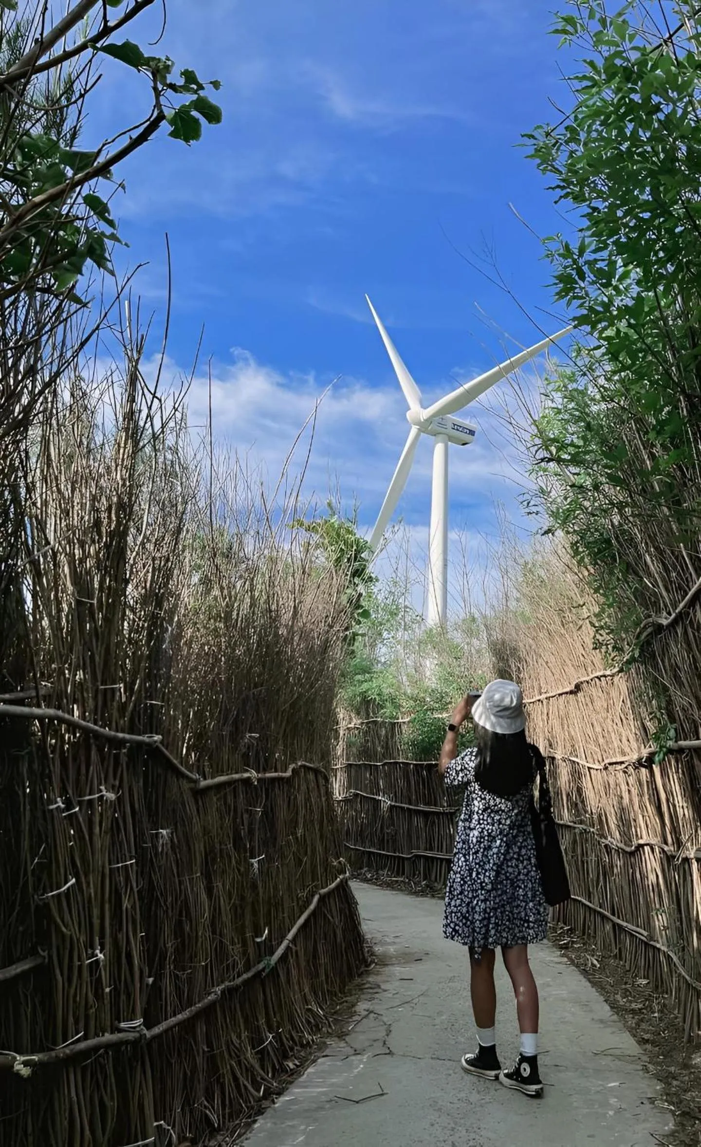 Thành Trinh hotel đảo Phú Quý