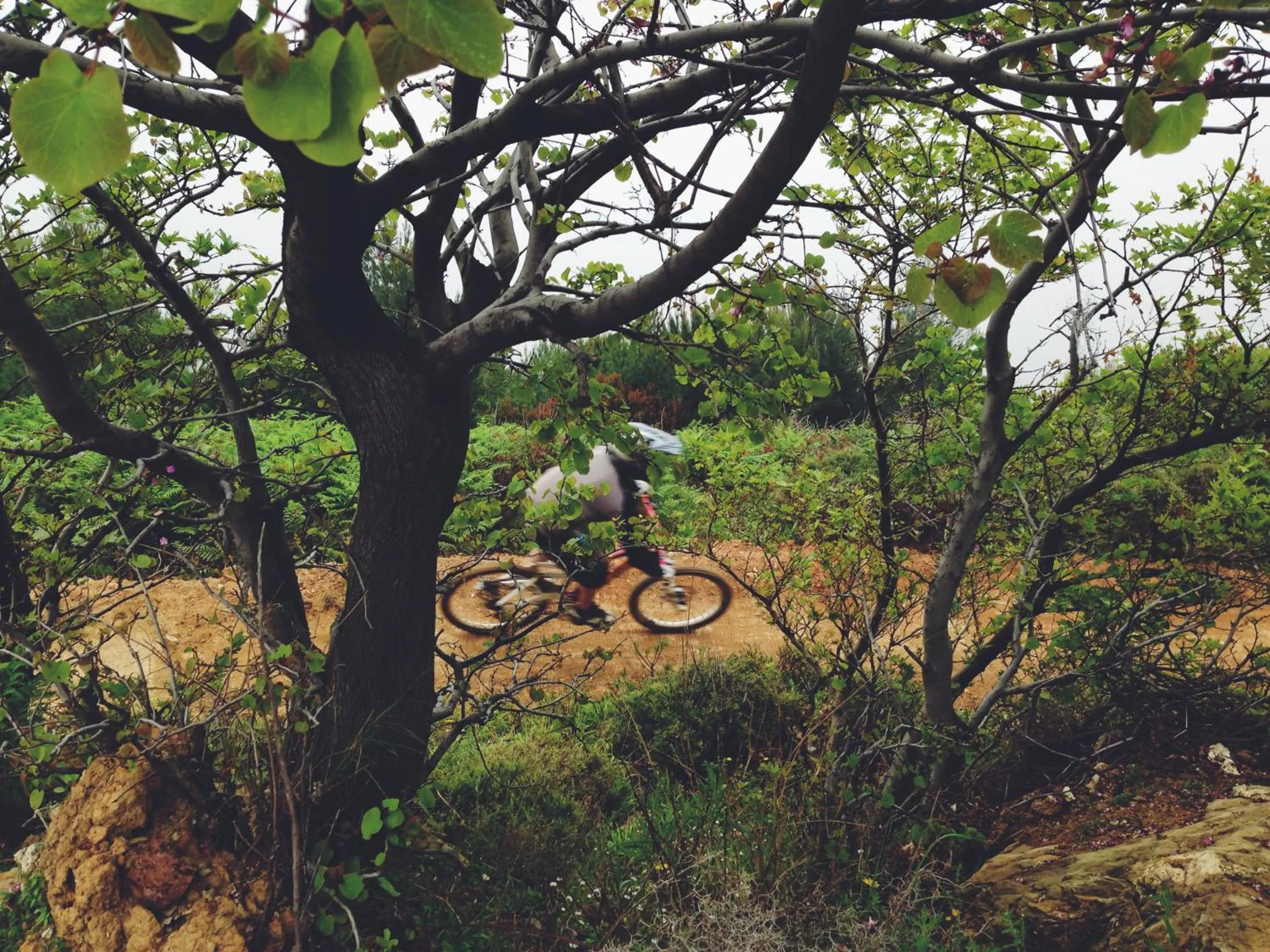 Cycling in Archontiko Kymis Boutique Hotel