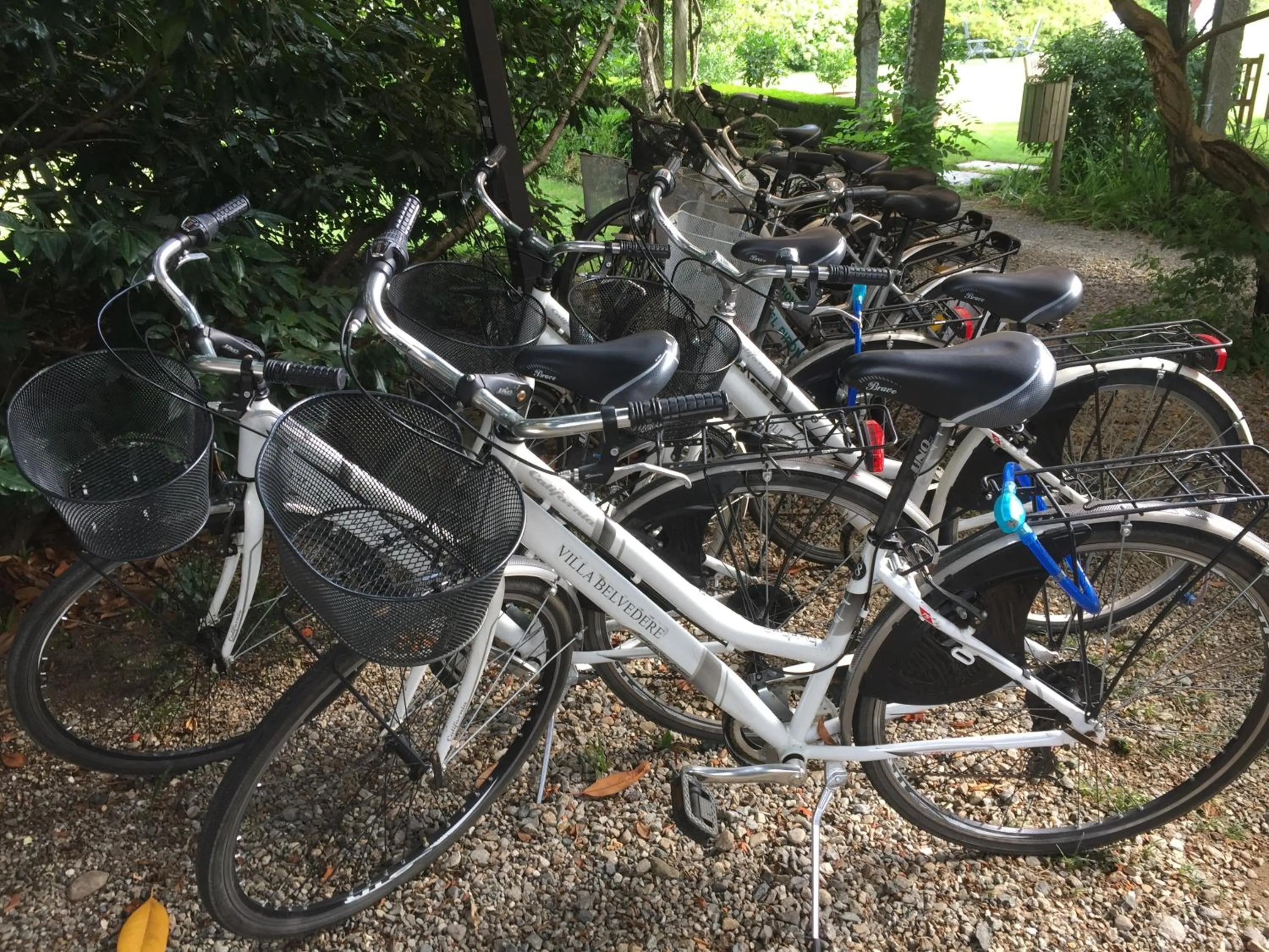 Cycling in Park Hotel Villa Belvedere