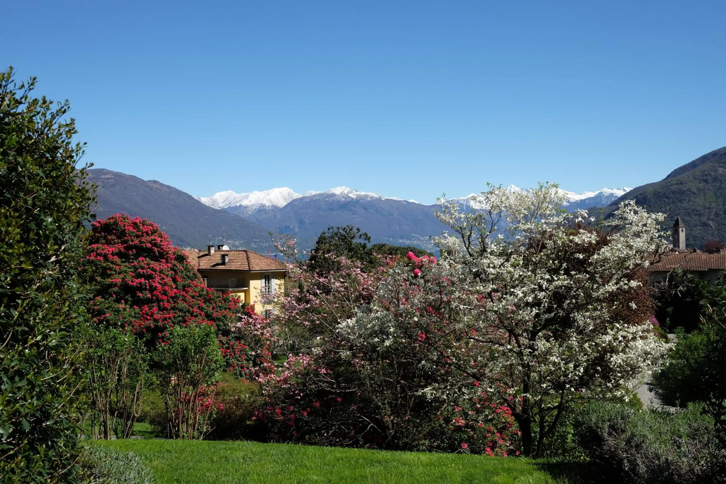 Garden in Park Hotel Villa Belvedere