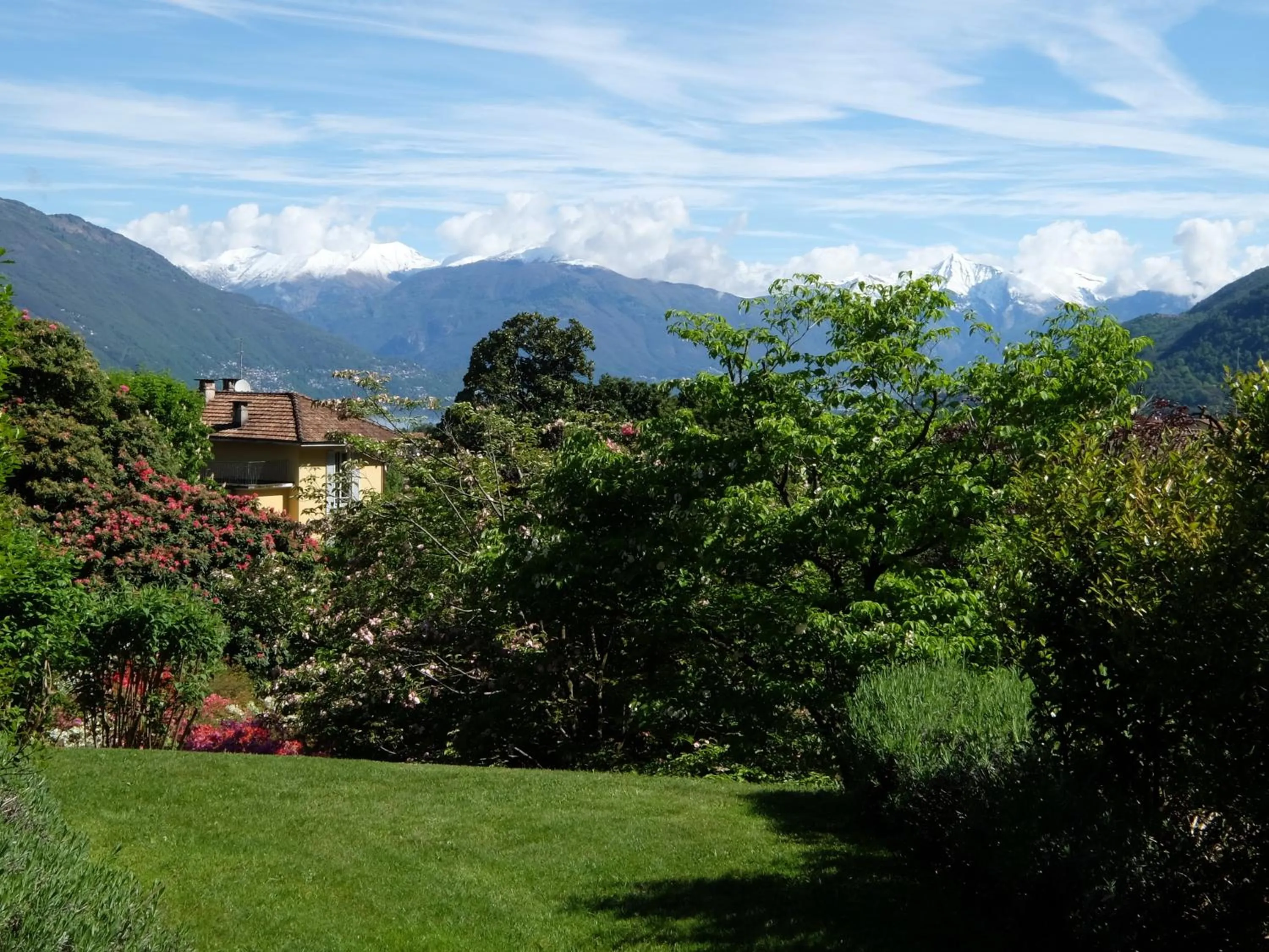 Garden in Park Hotel Villa Belvedere