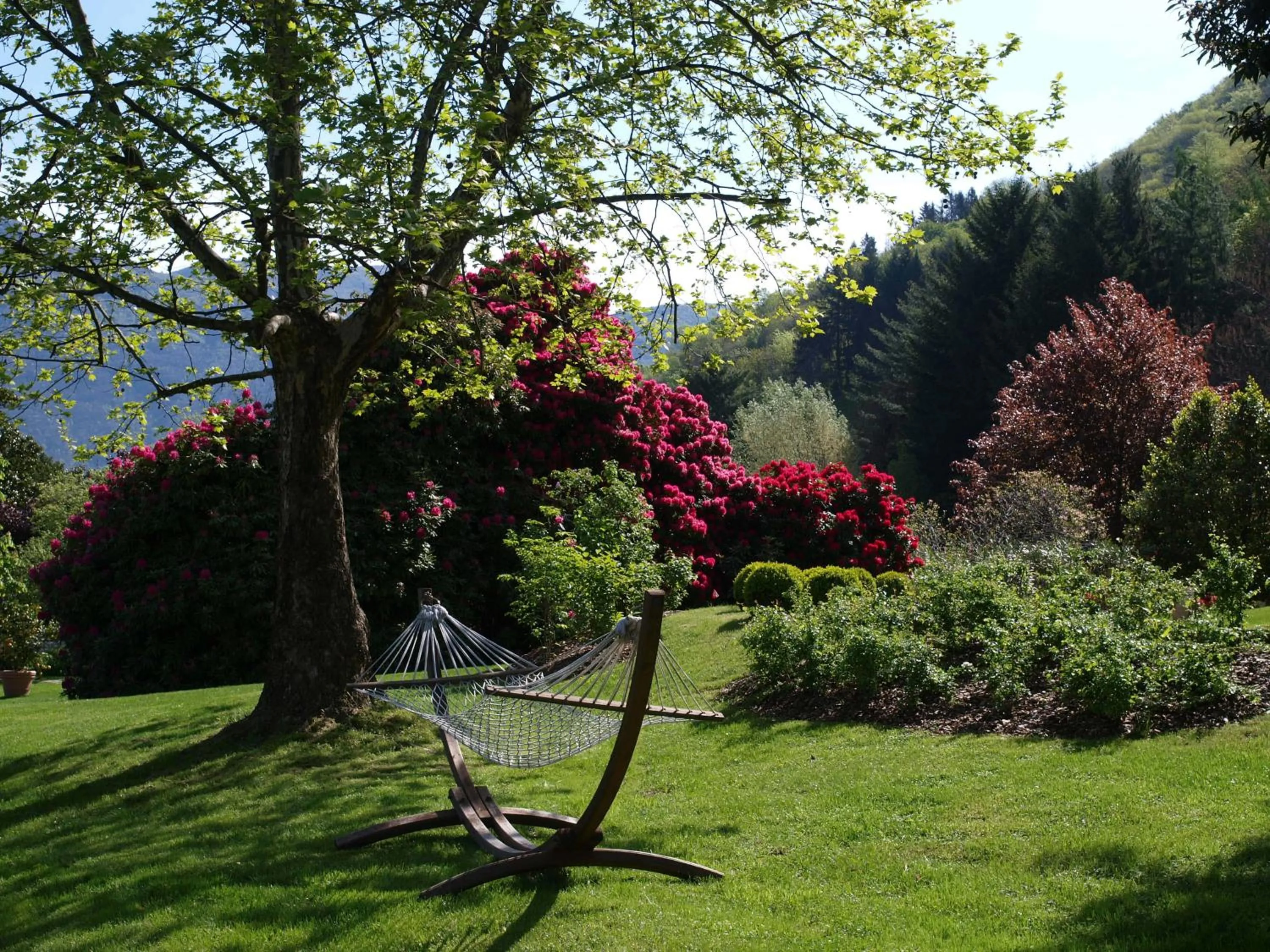 Garden in Park Hotel Villa Belvedere
