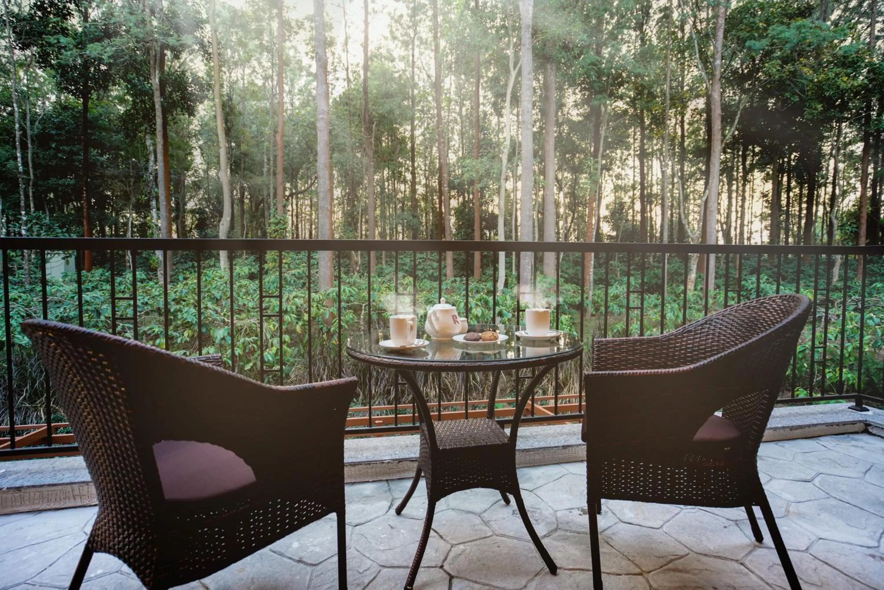 Balcony/Terrace in Rosetta Sakleshpur