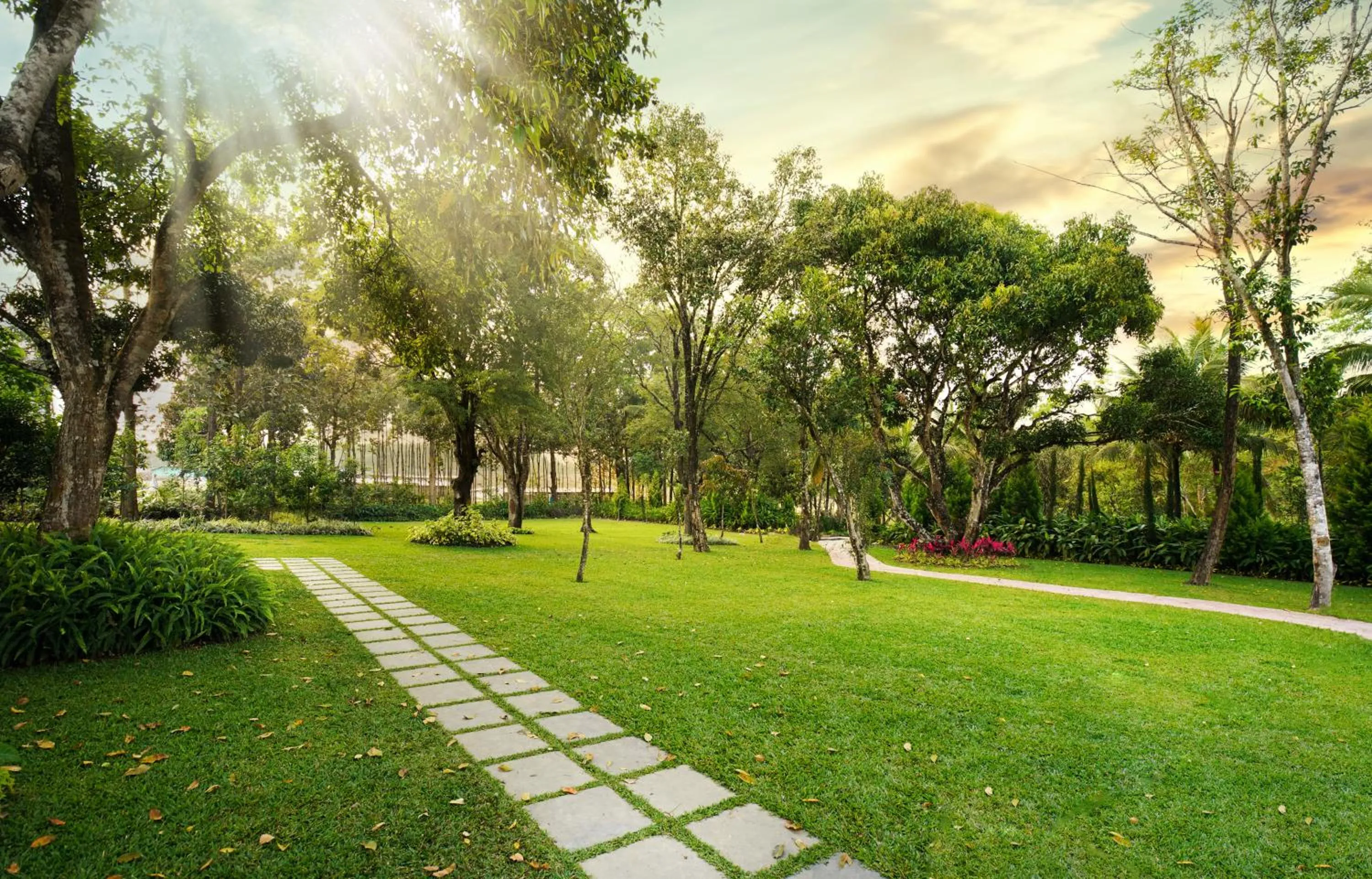 View (from property/room) in Rosetta Sakleshpur
