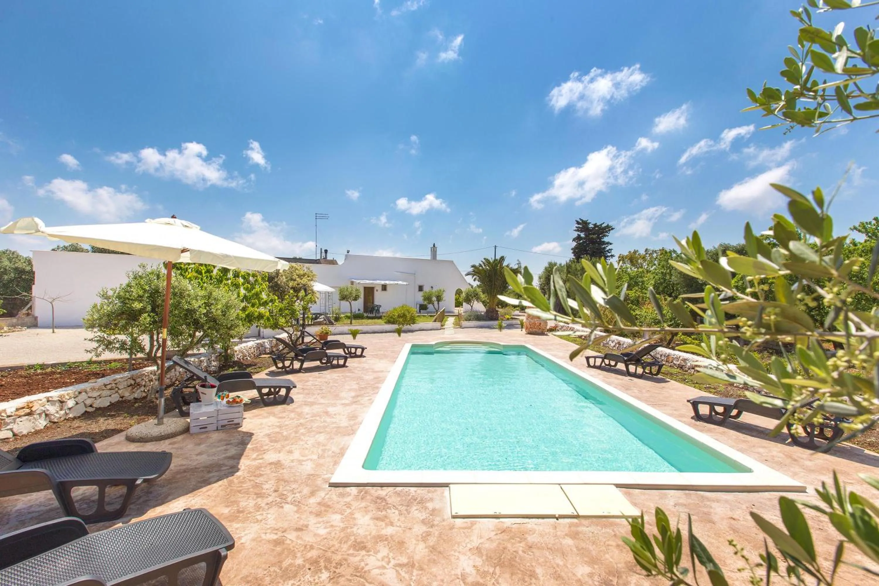 Swimming pool in Villa Martina by BarbarHouse
