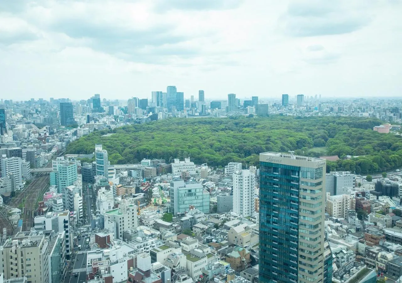 View (from property/room) in Odakyu Hotel Century Southern Tower