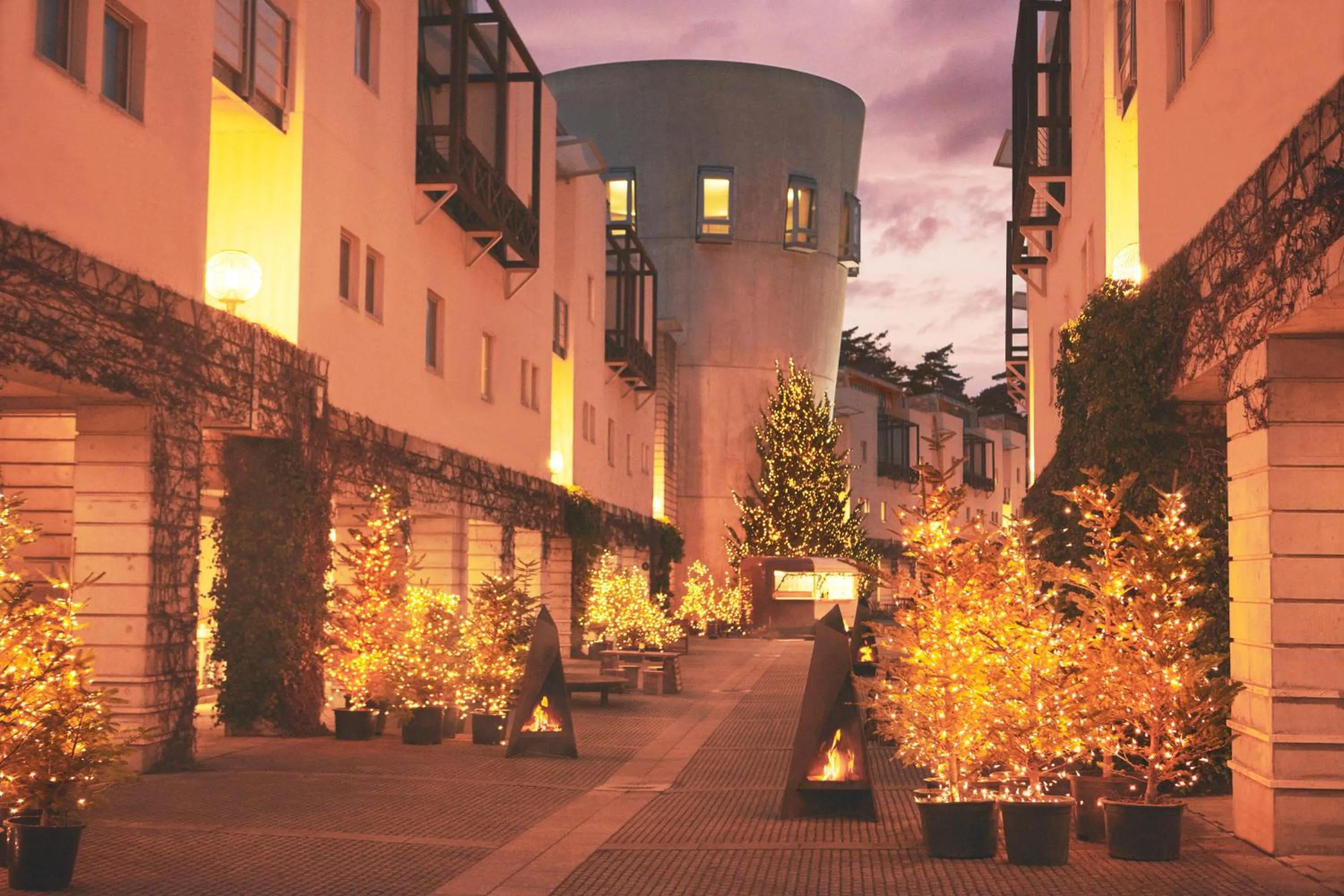 Winter in RISONARE Yatsugatake