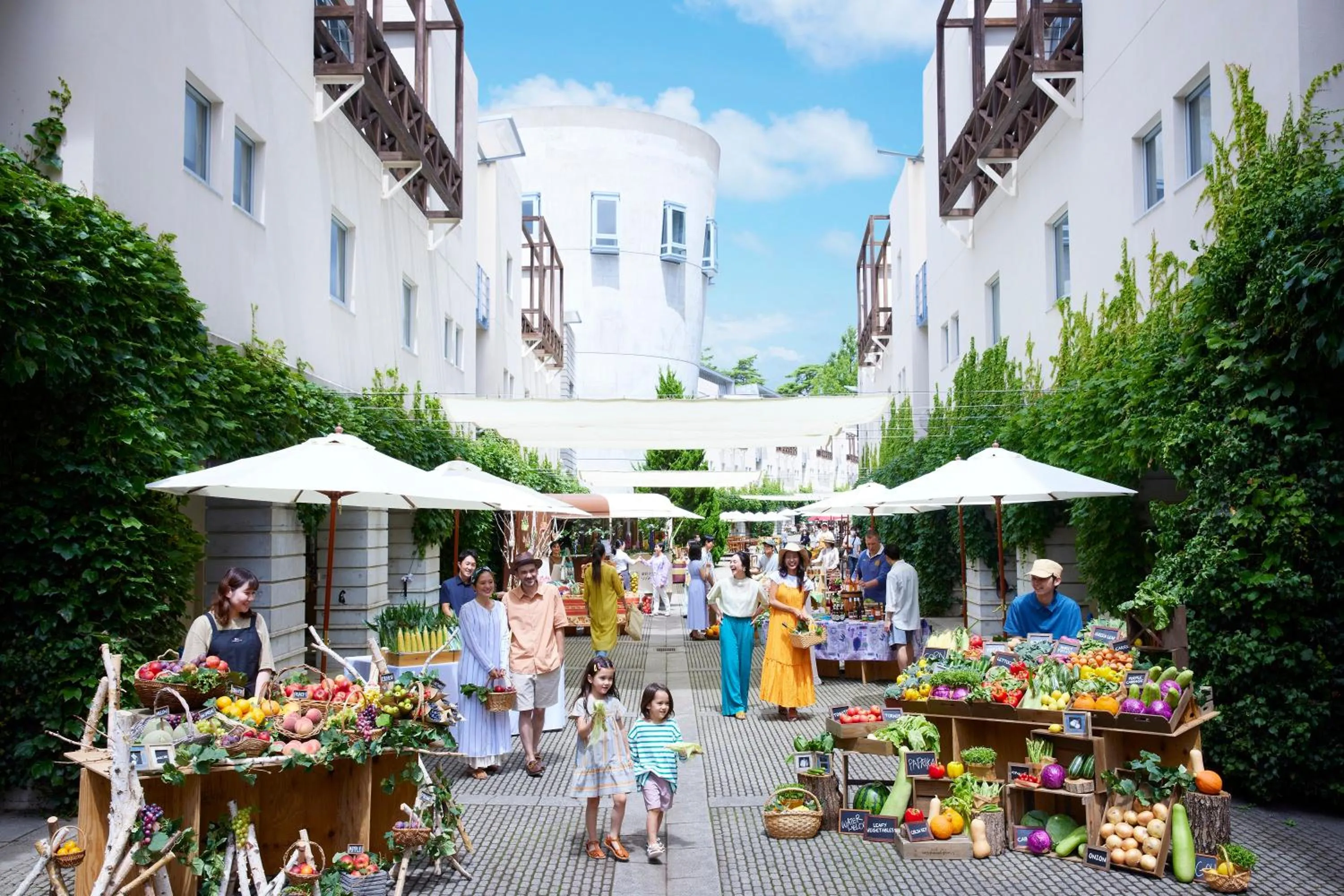 Summer in RISONARE Yatsugatake