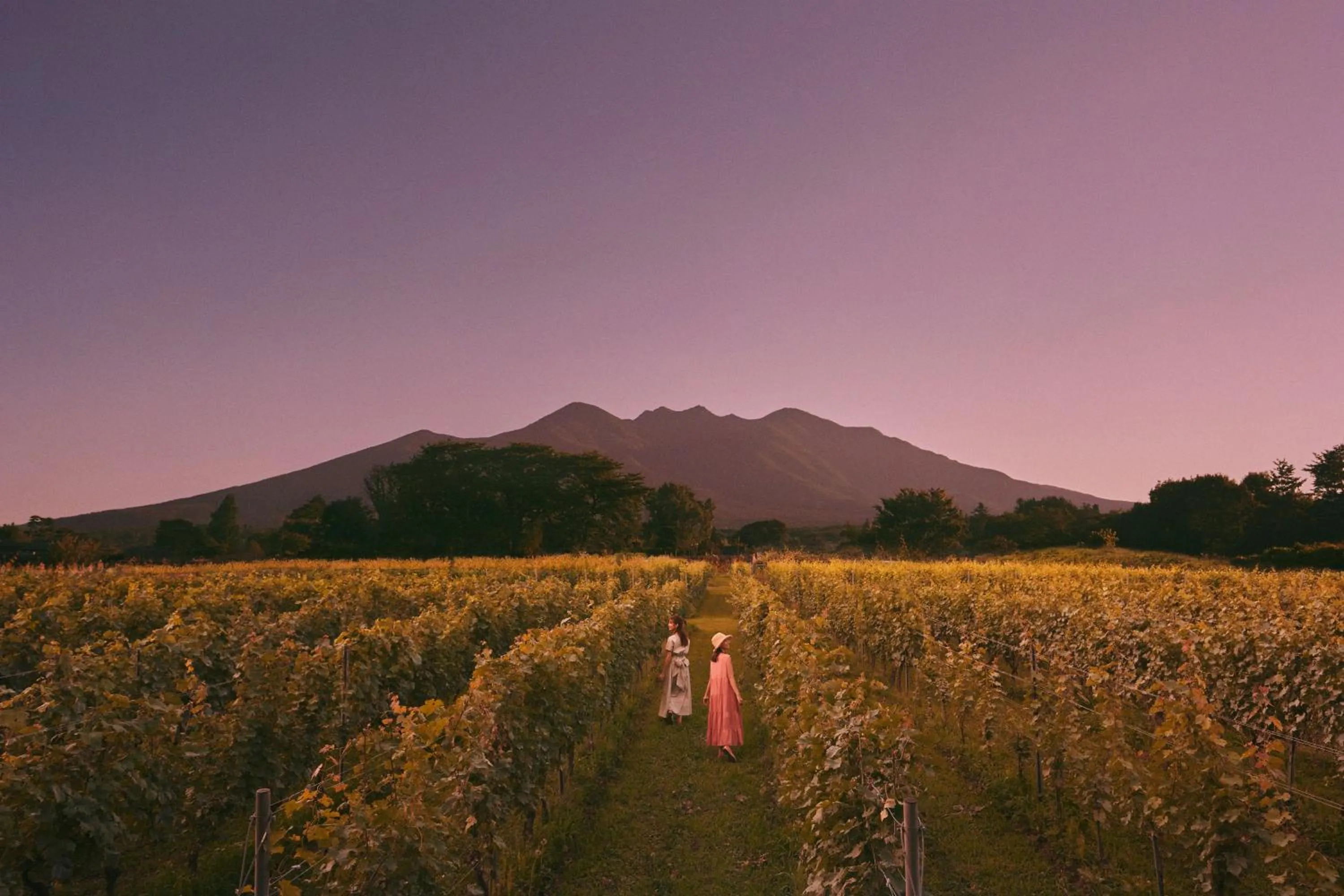 RISONARE Yatsugatake