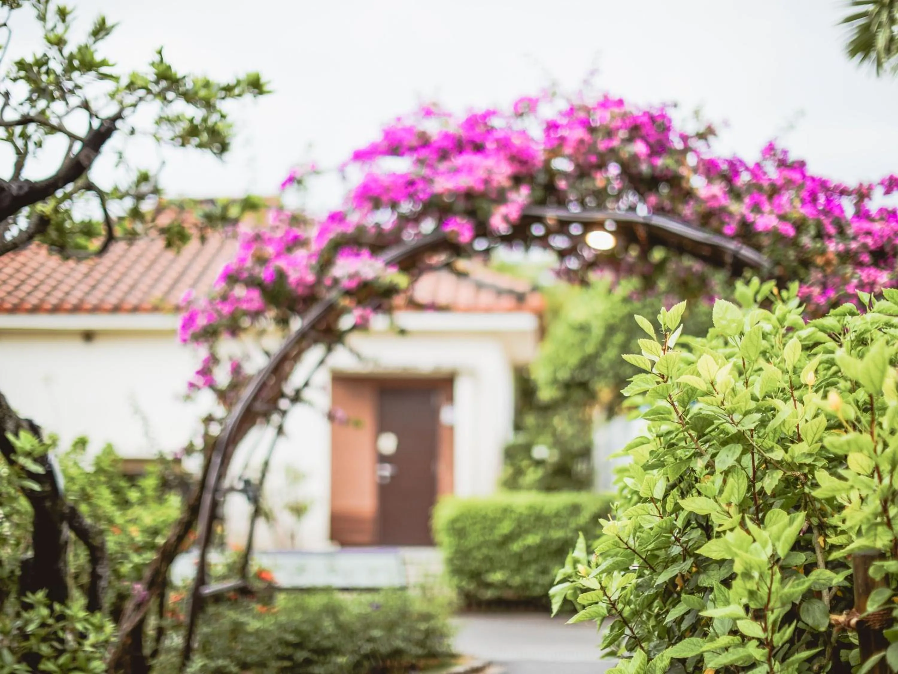 Area and facilities in FUSAKI BEACH RESORT HOTEL & VILLAS