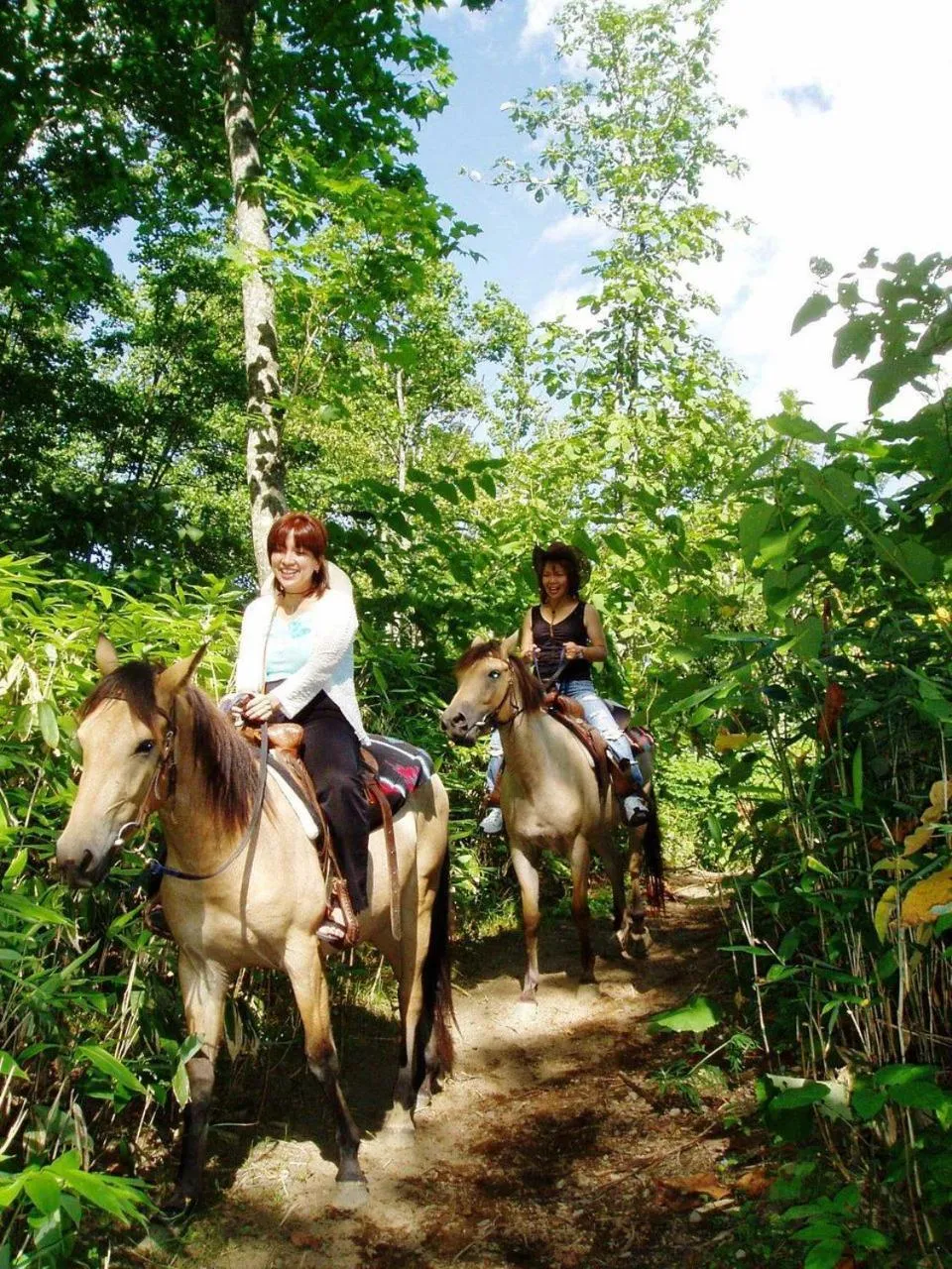 Horse-riding in Niseko Northern Resort, An'nupuri
