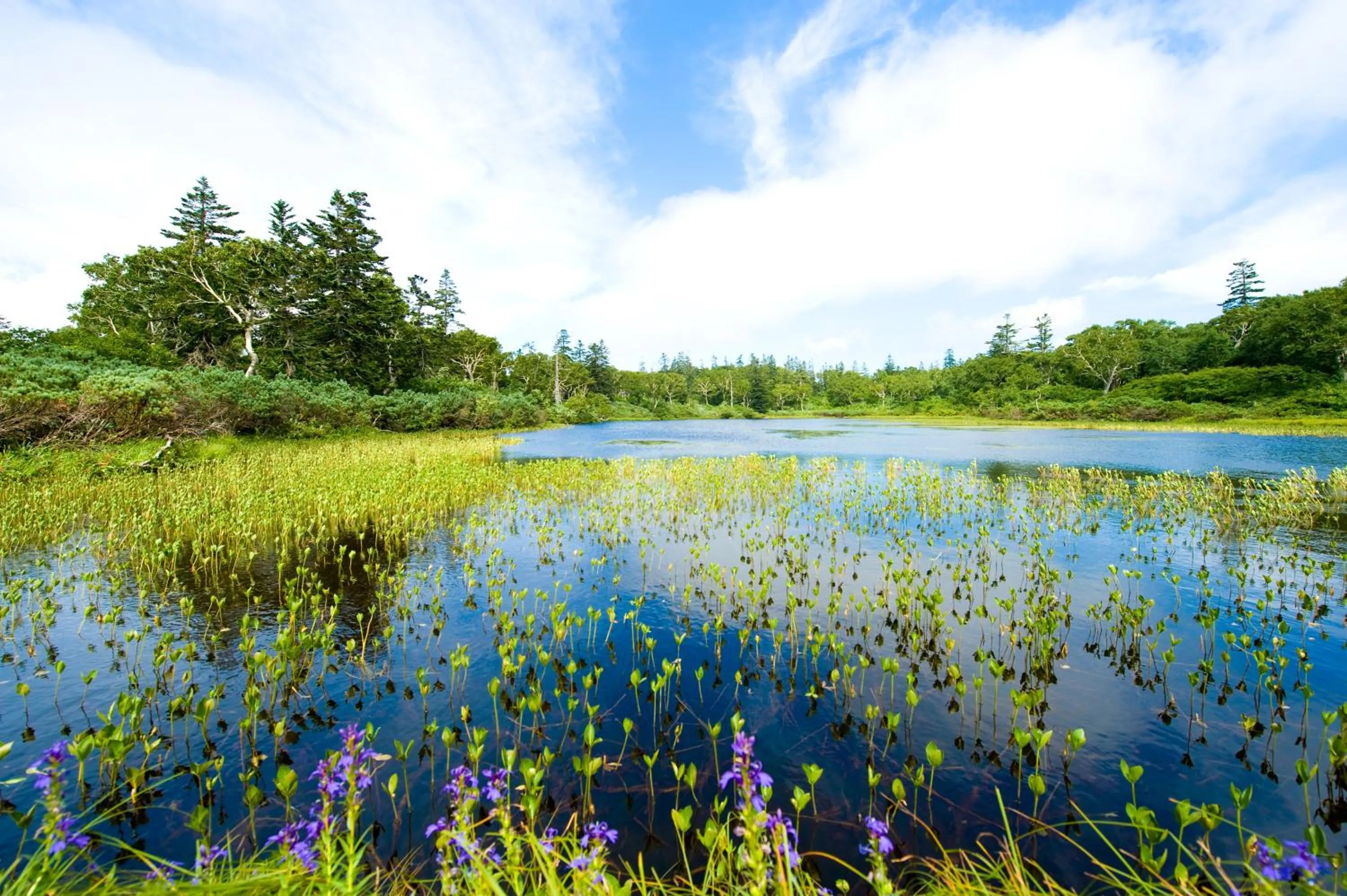 Natural landscape in Niseko Northern Resort, An'nupuri