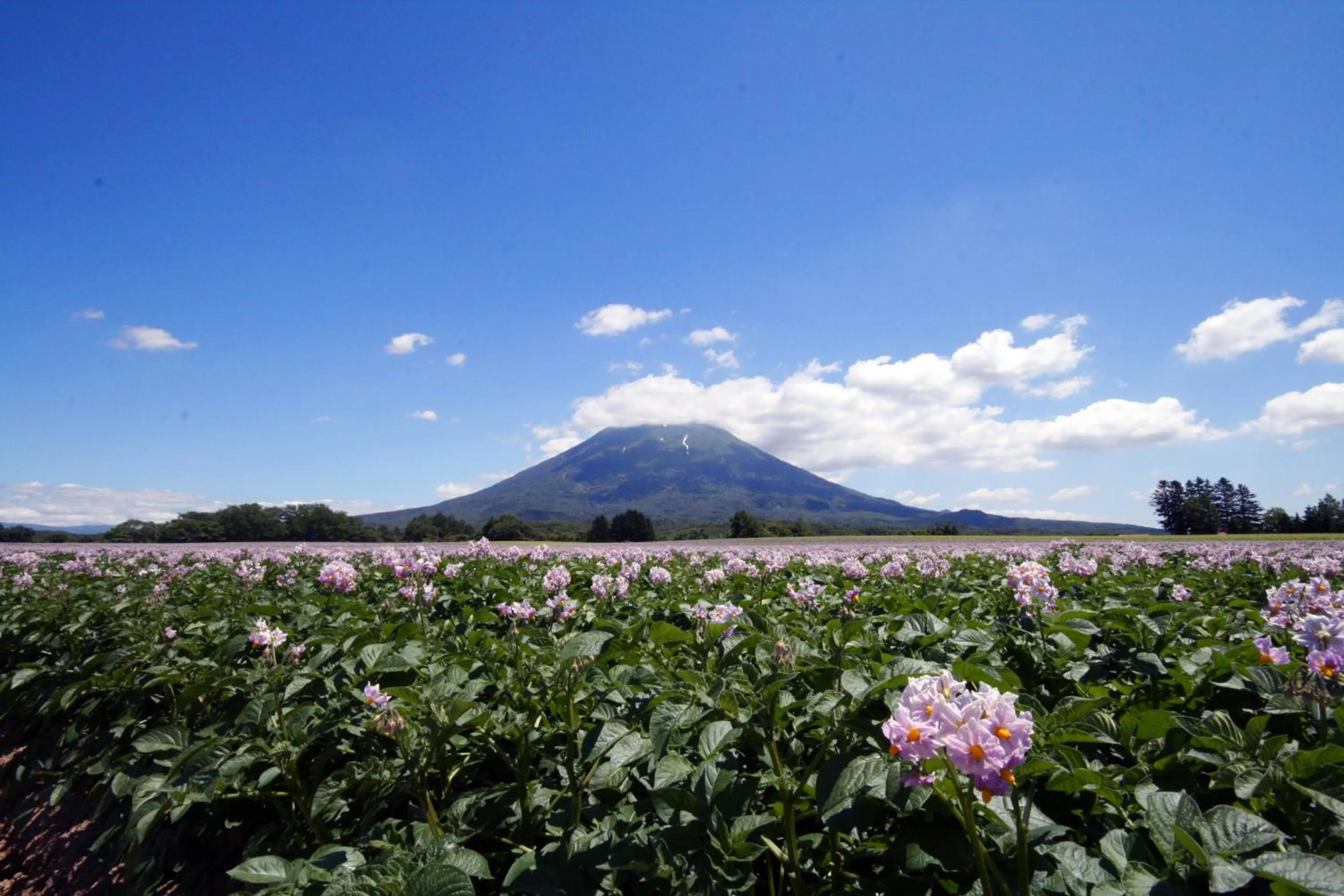 Nearby landmark in Niseko Northern Resort, An'nupuri