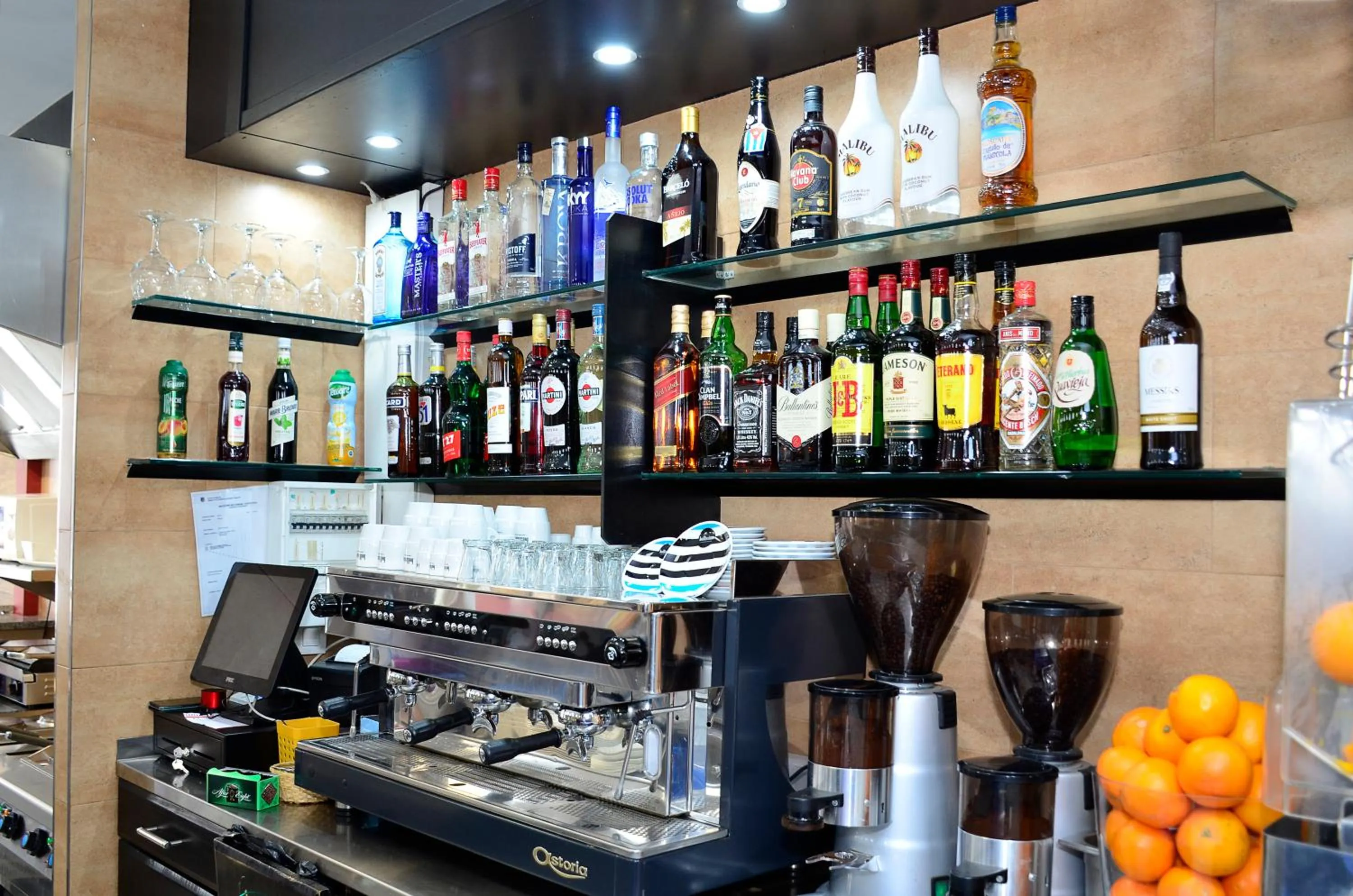 Lounge or bar in Hotel Terranova