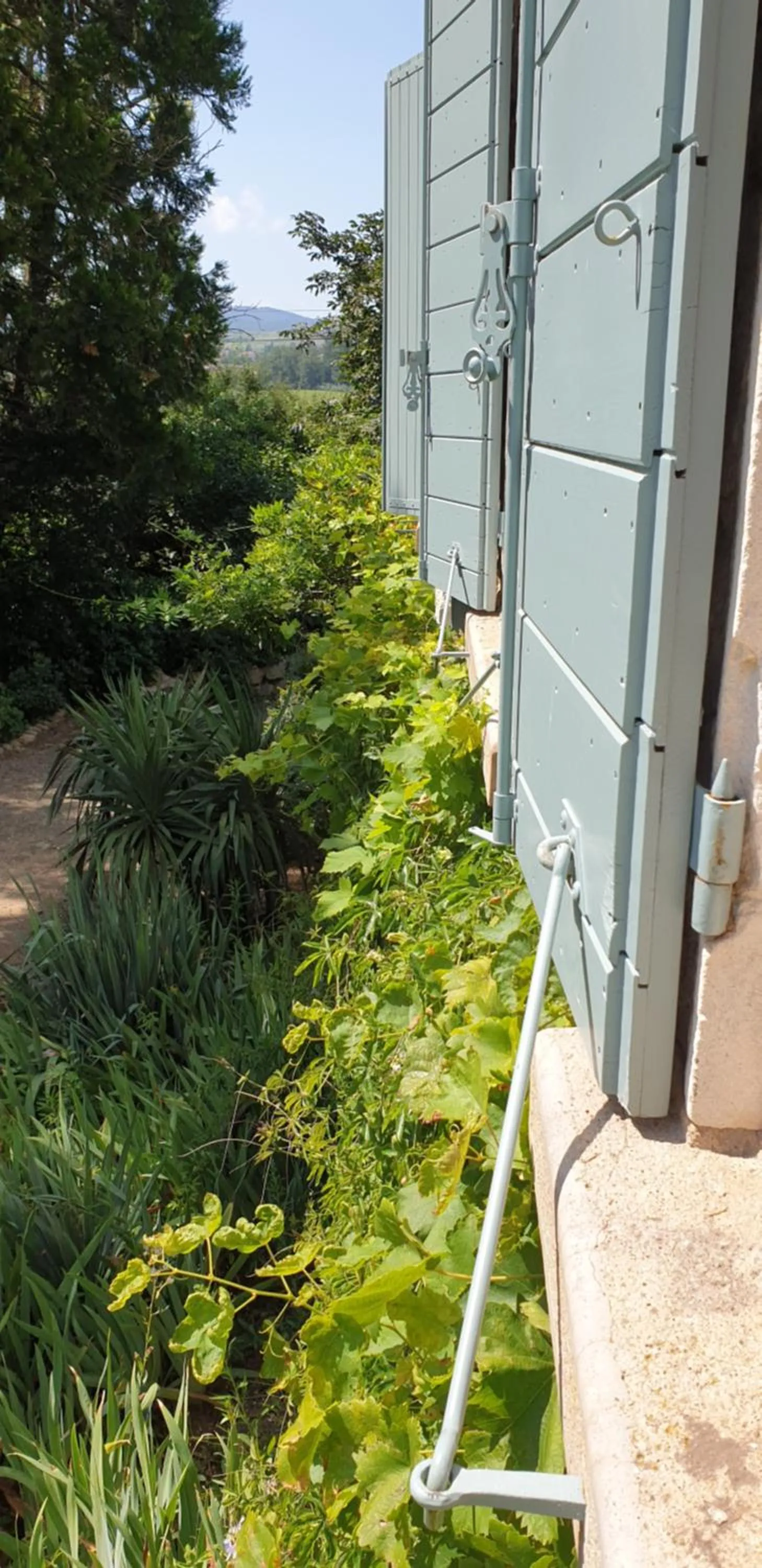 Garden view in Château de Grandmont - Escale authentique au coeur des vignes