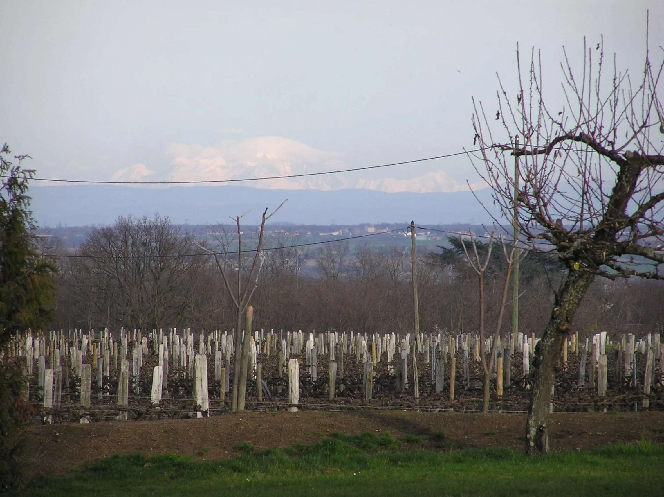 Property building in Château de Grandmont - Escale authentique au coeur des vignes