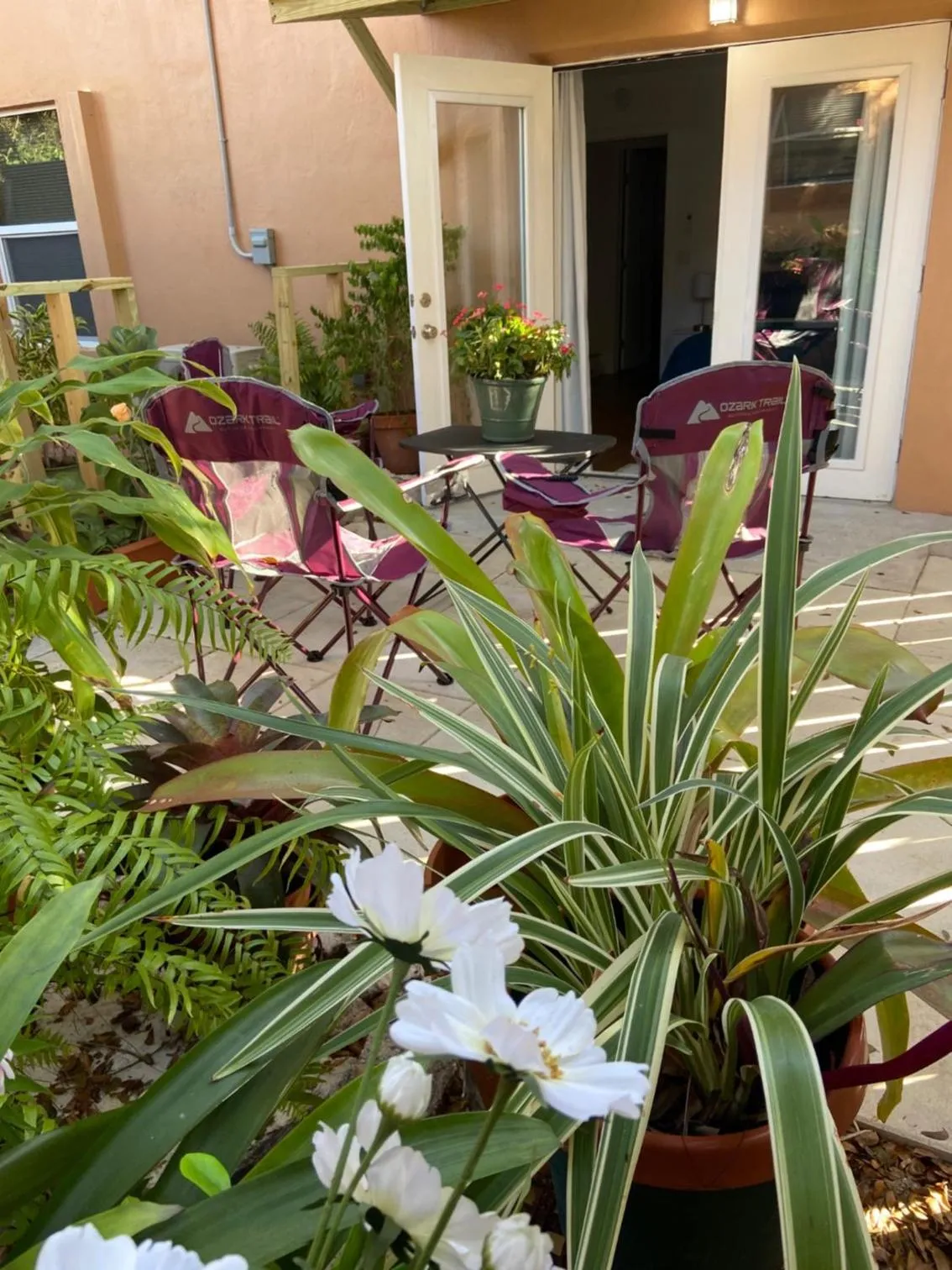 Garden in Mermaid's Cottage