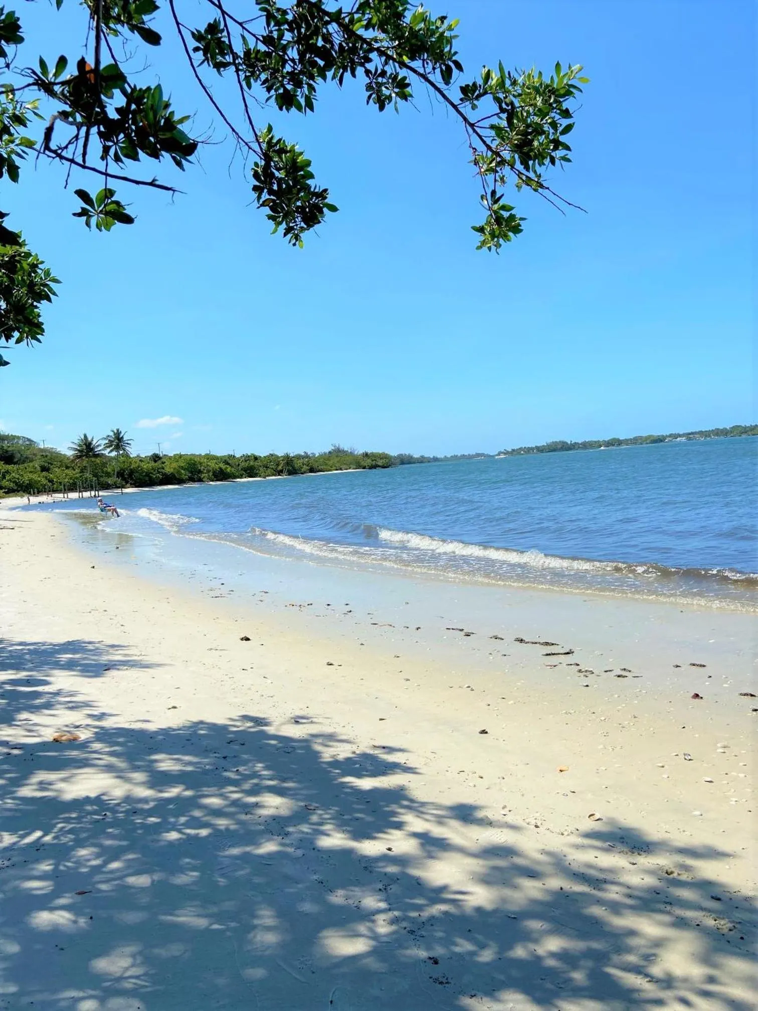 Beach in Mermaid's Cottage