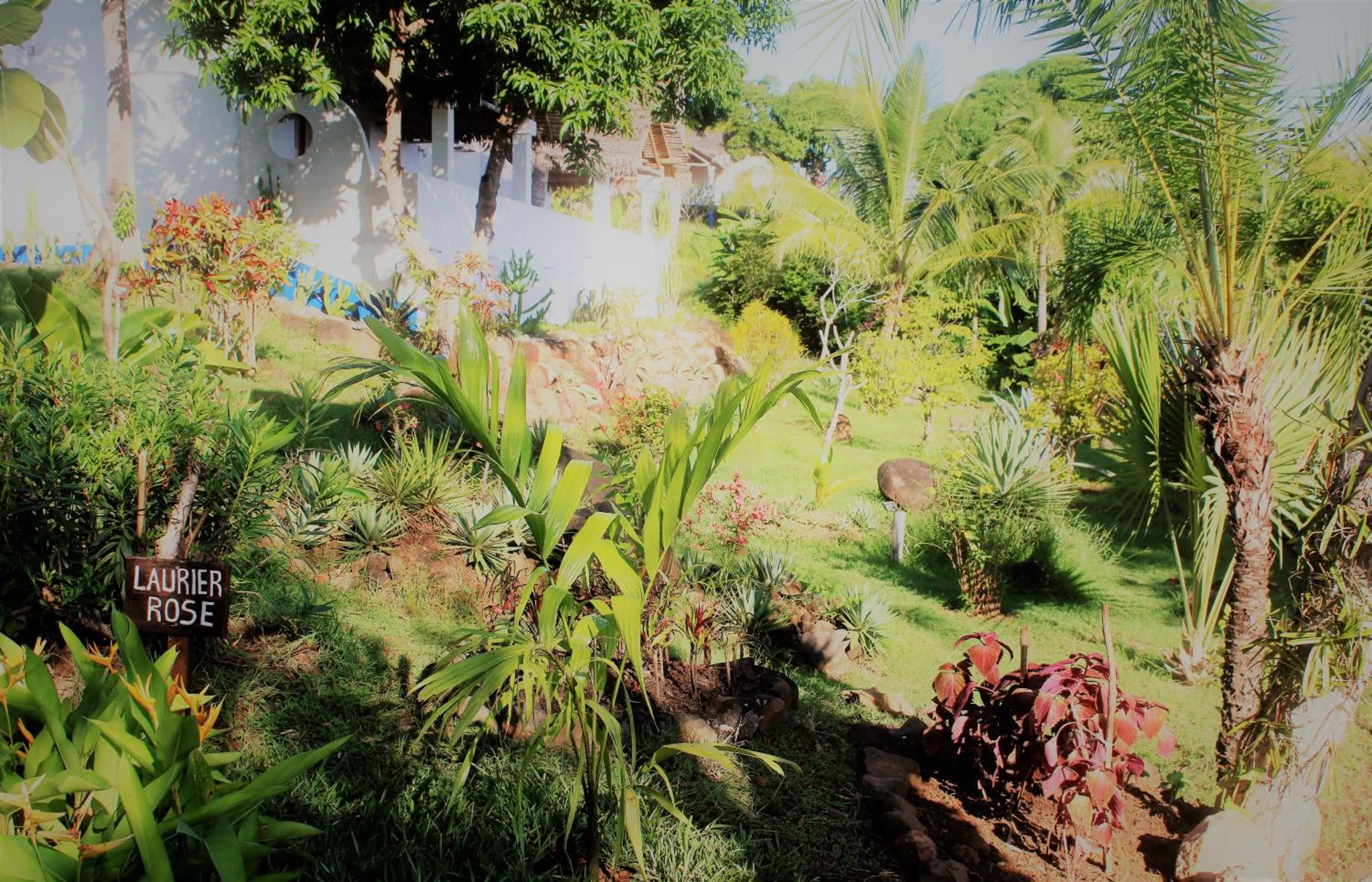 Garden view in Le Grand Bleu