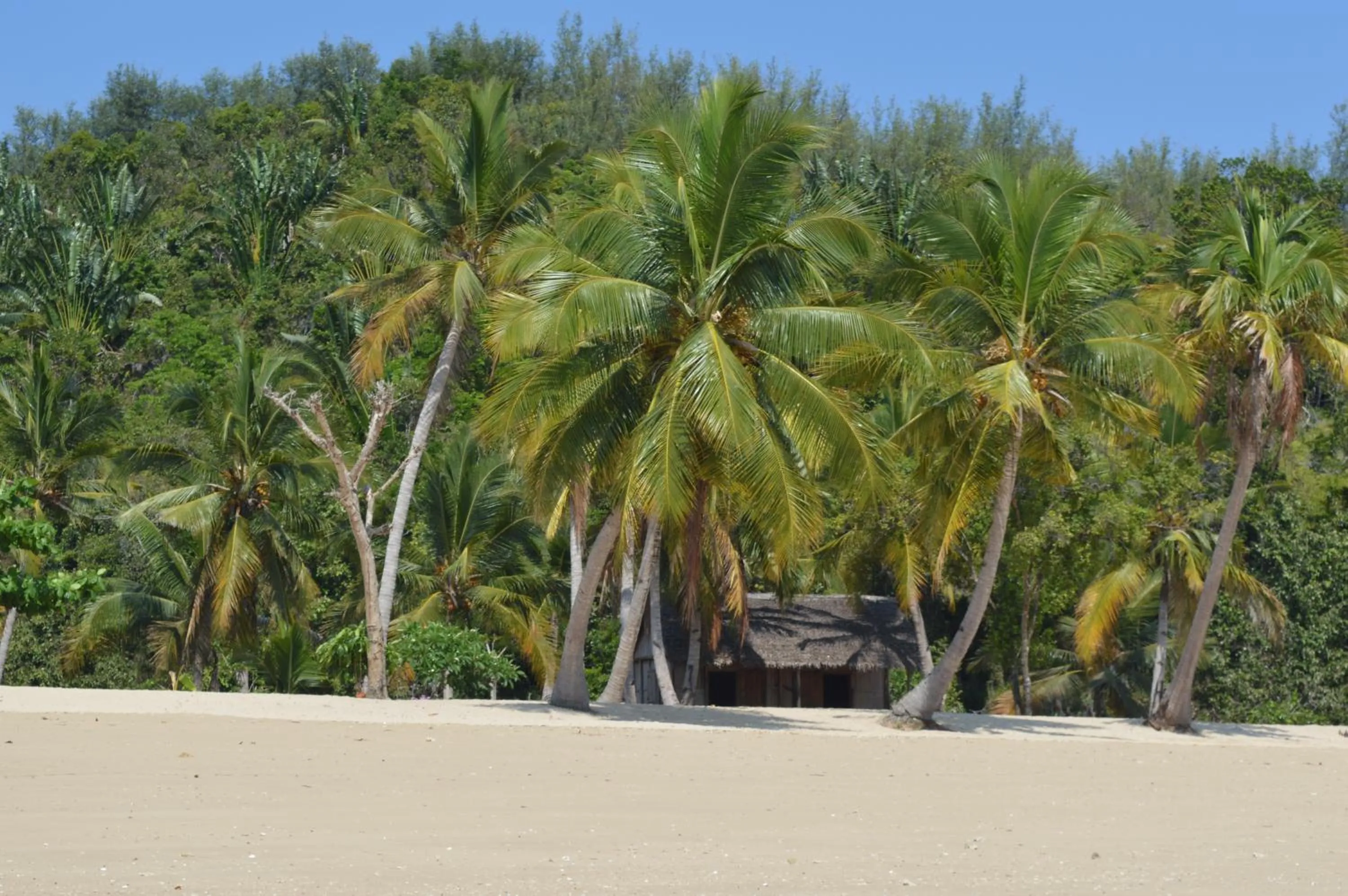 Natural landscape in Le Grand Bleu