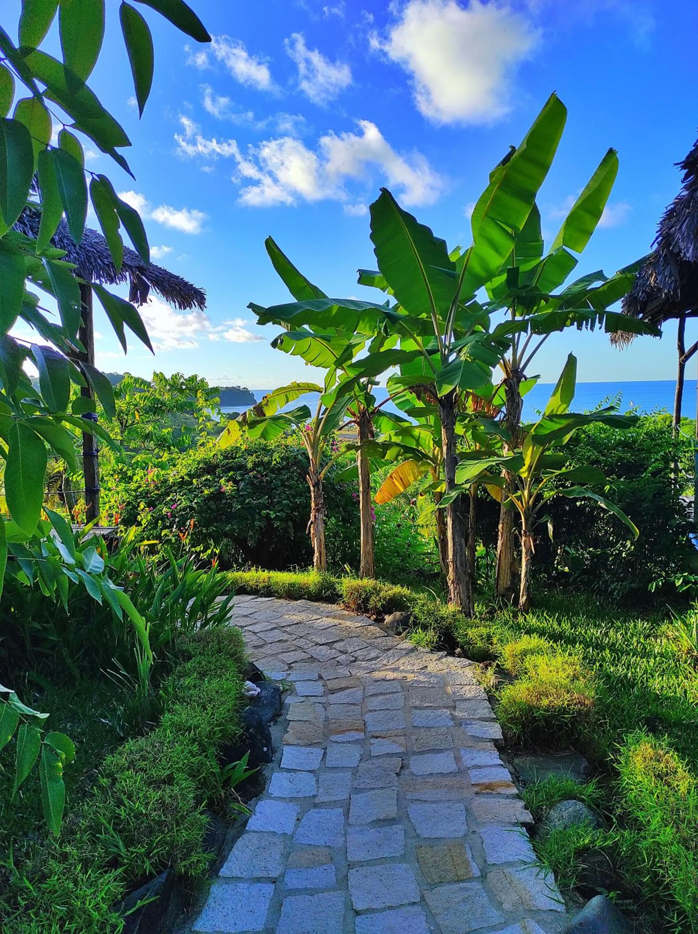 Area and facilities in Le Grand Bleu