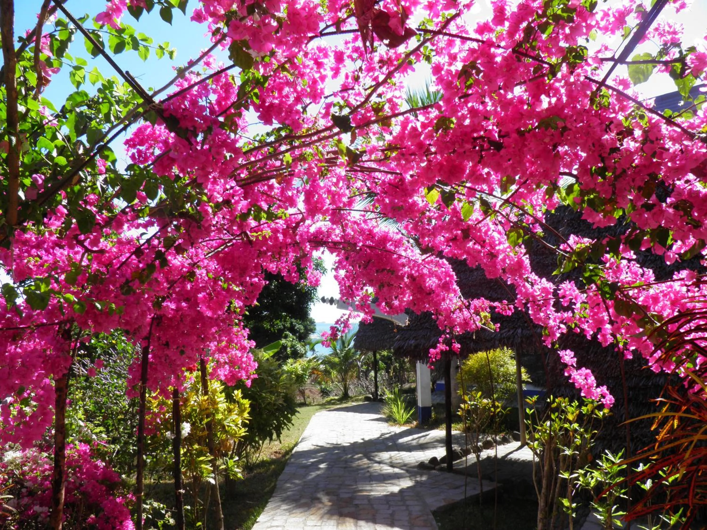 Garden in Le Grand Bleu