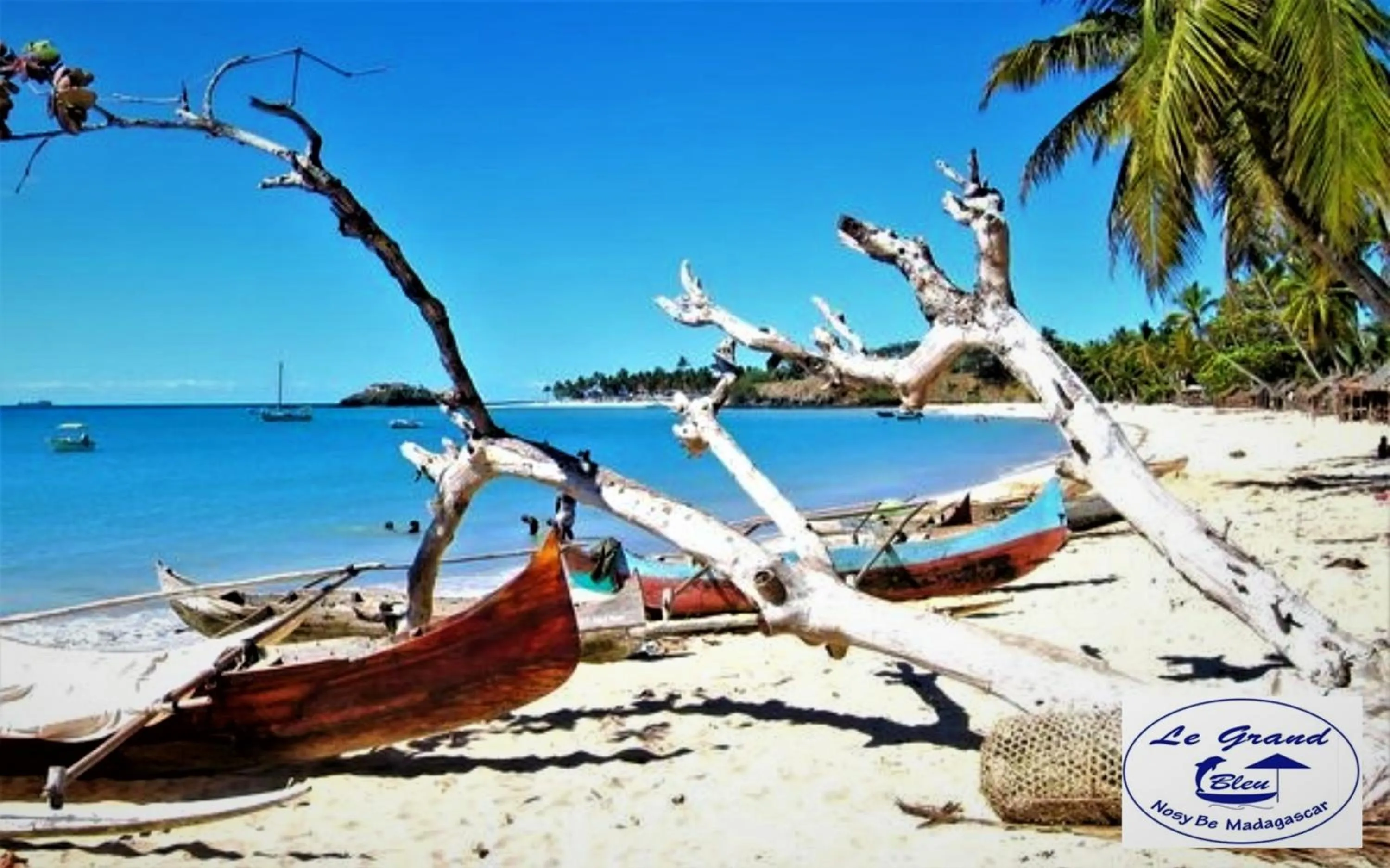 Snorkeling in Le Grand Bleu