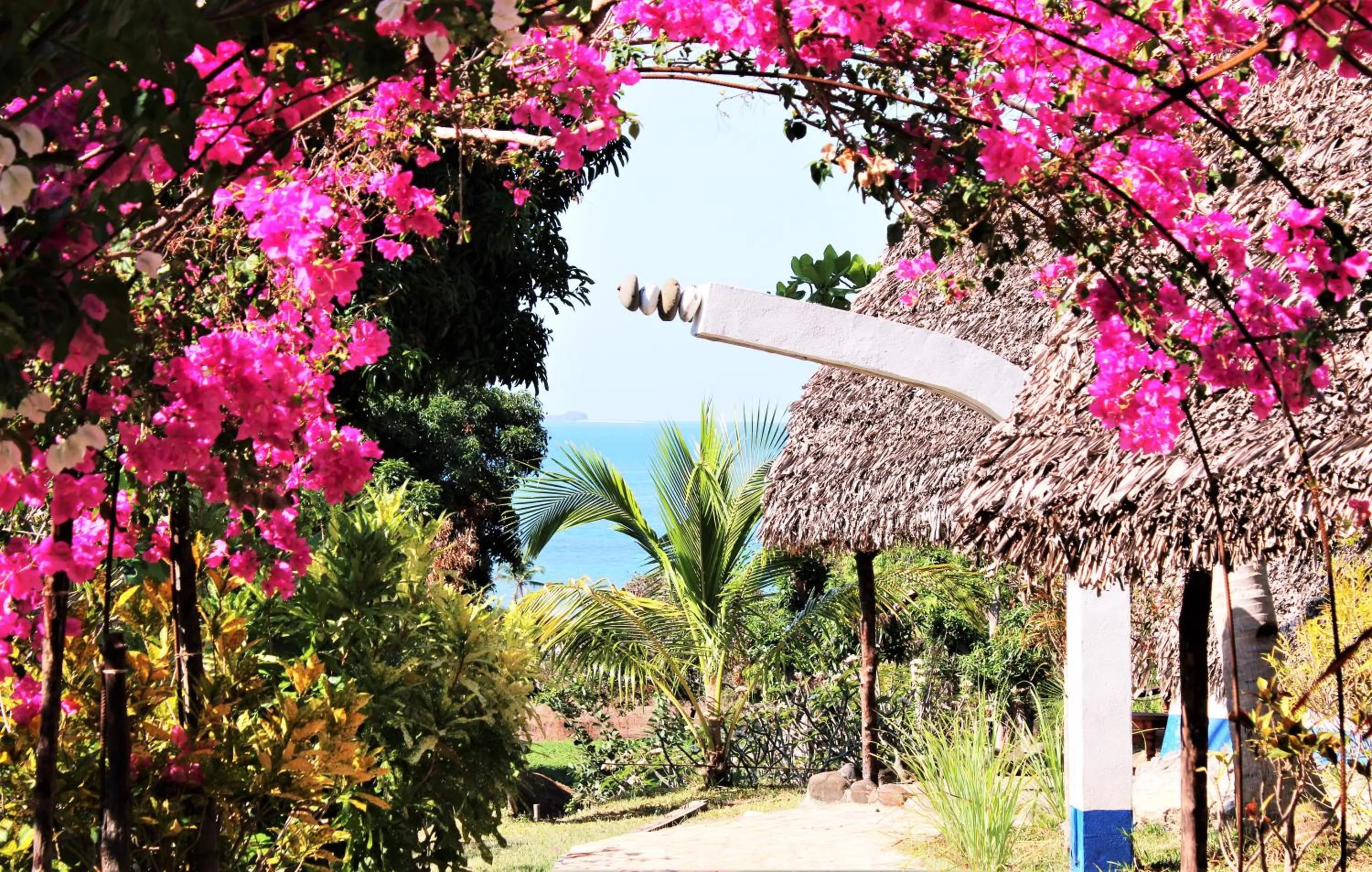 Garden in Le Grand Bleu