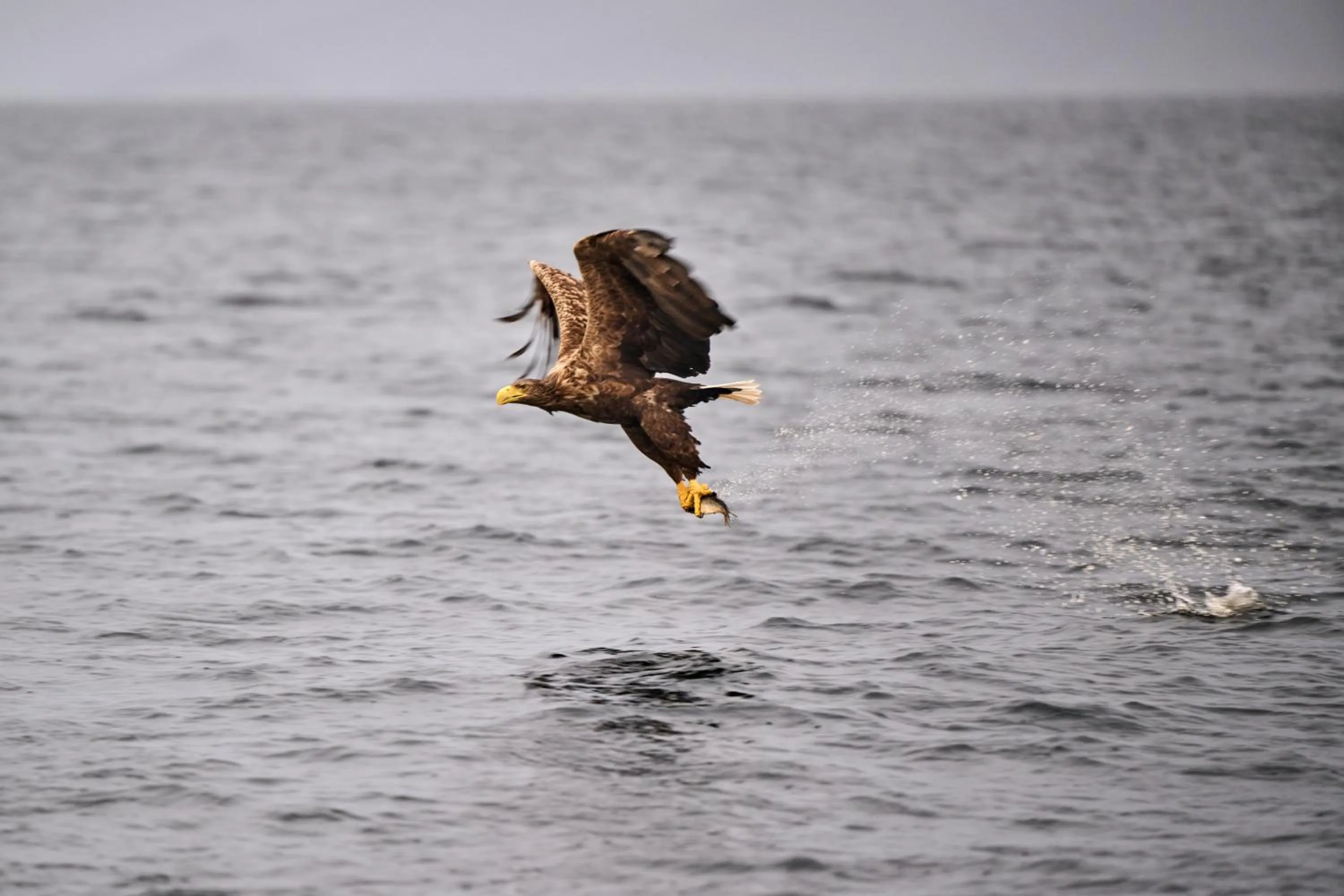 Activities in Ringstad Resort