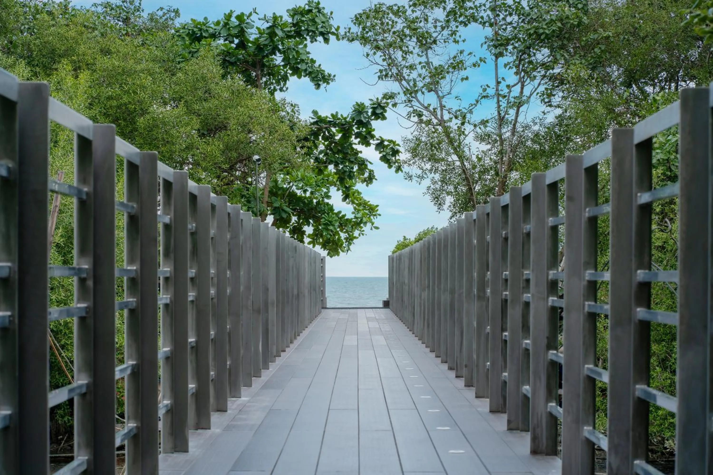 Natural landscape in Bayphere Hotel Pattaya JC