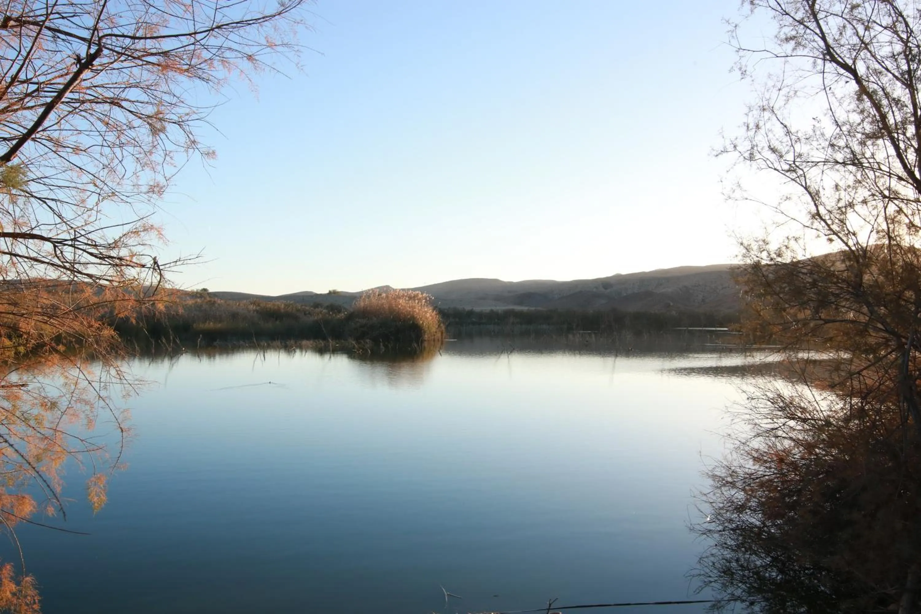 עדן במדבר - eden in desert