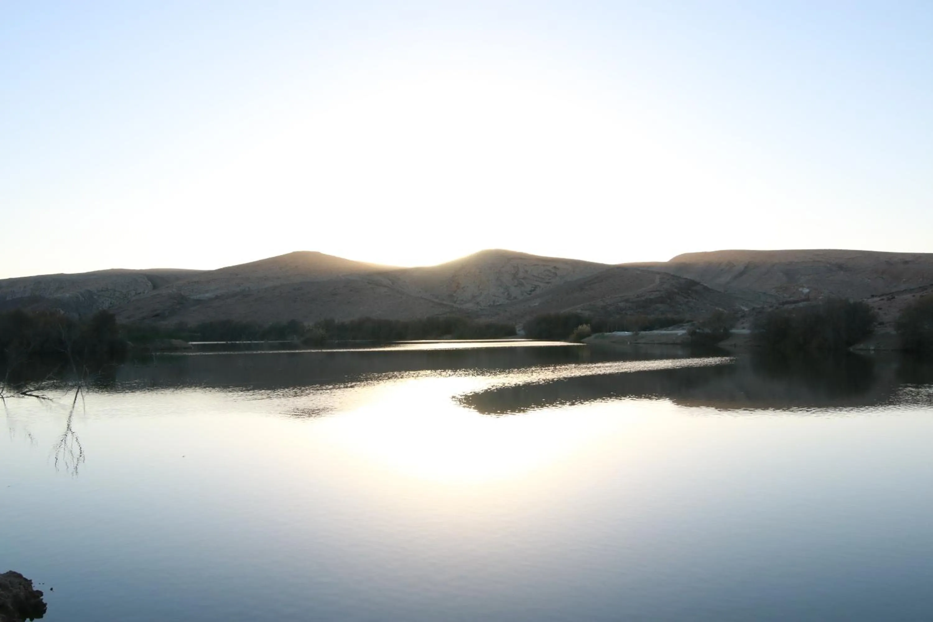 עדן במדבר - eden in desert