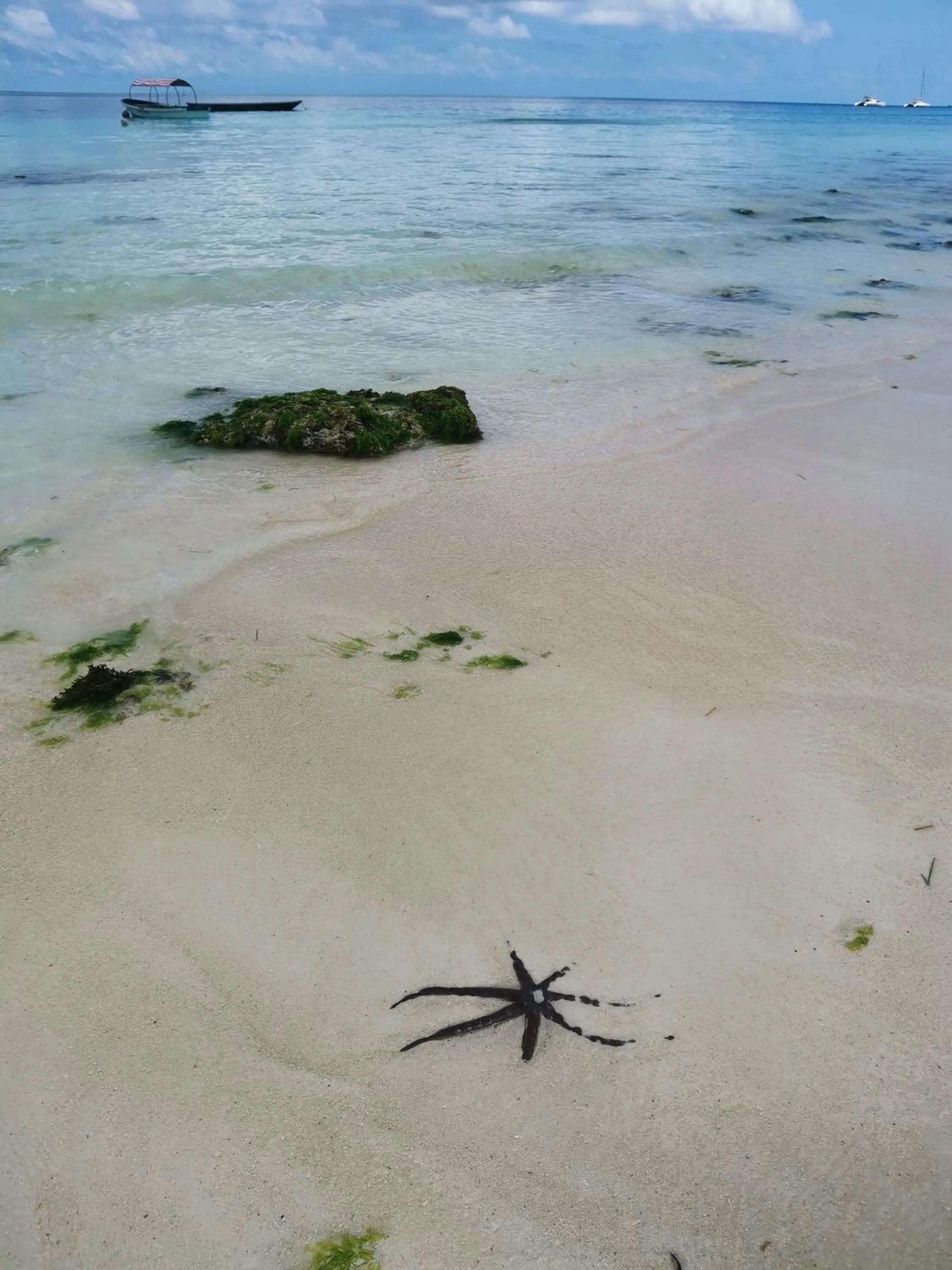 Beach in Savi House Nungwi