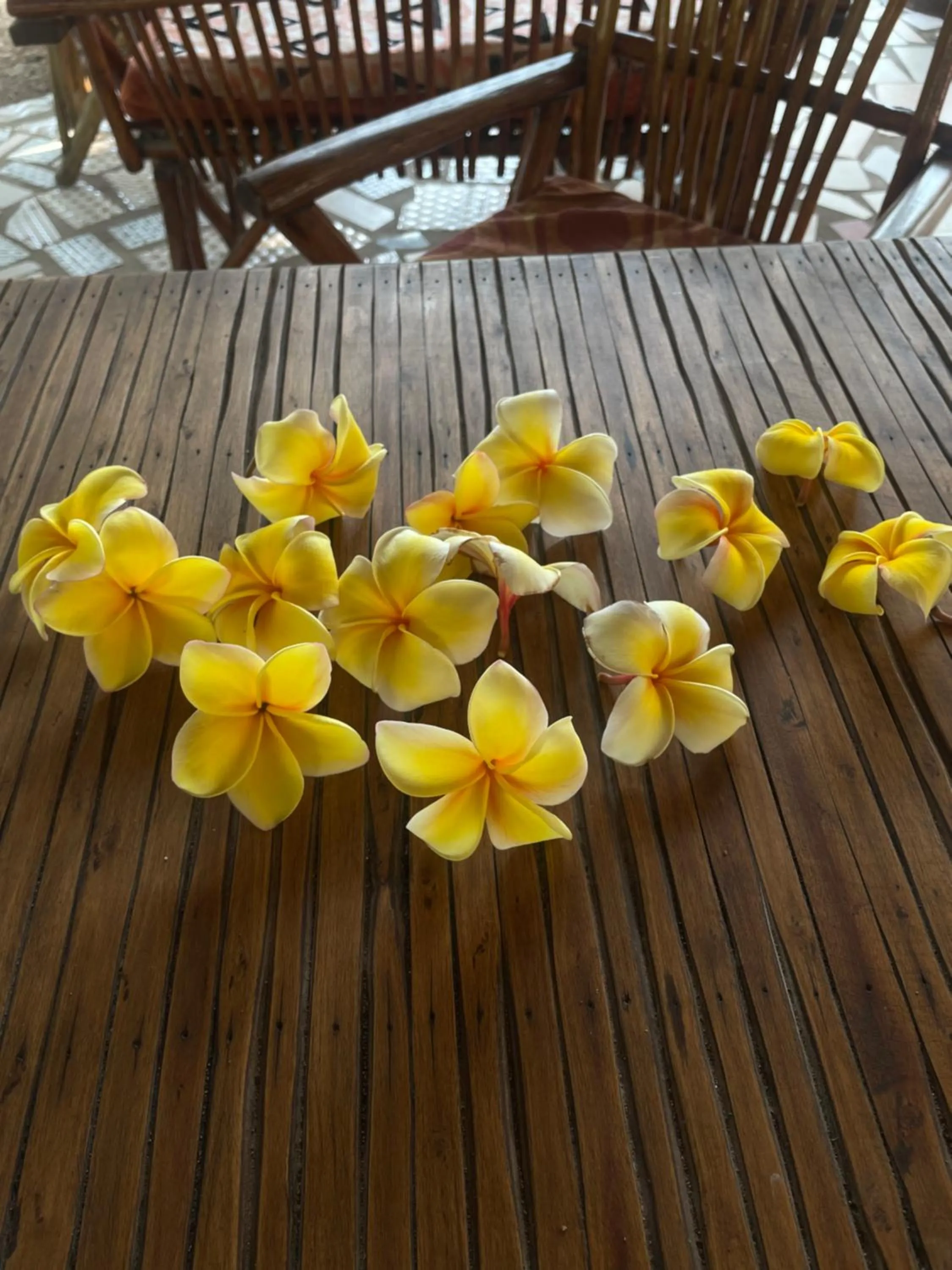 Dining area in Savi House Nungwi