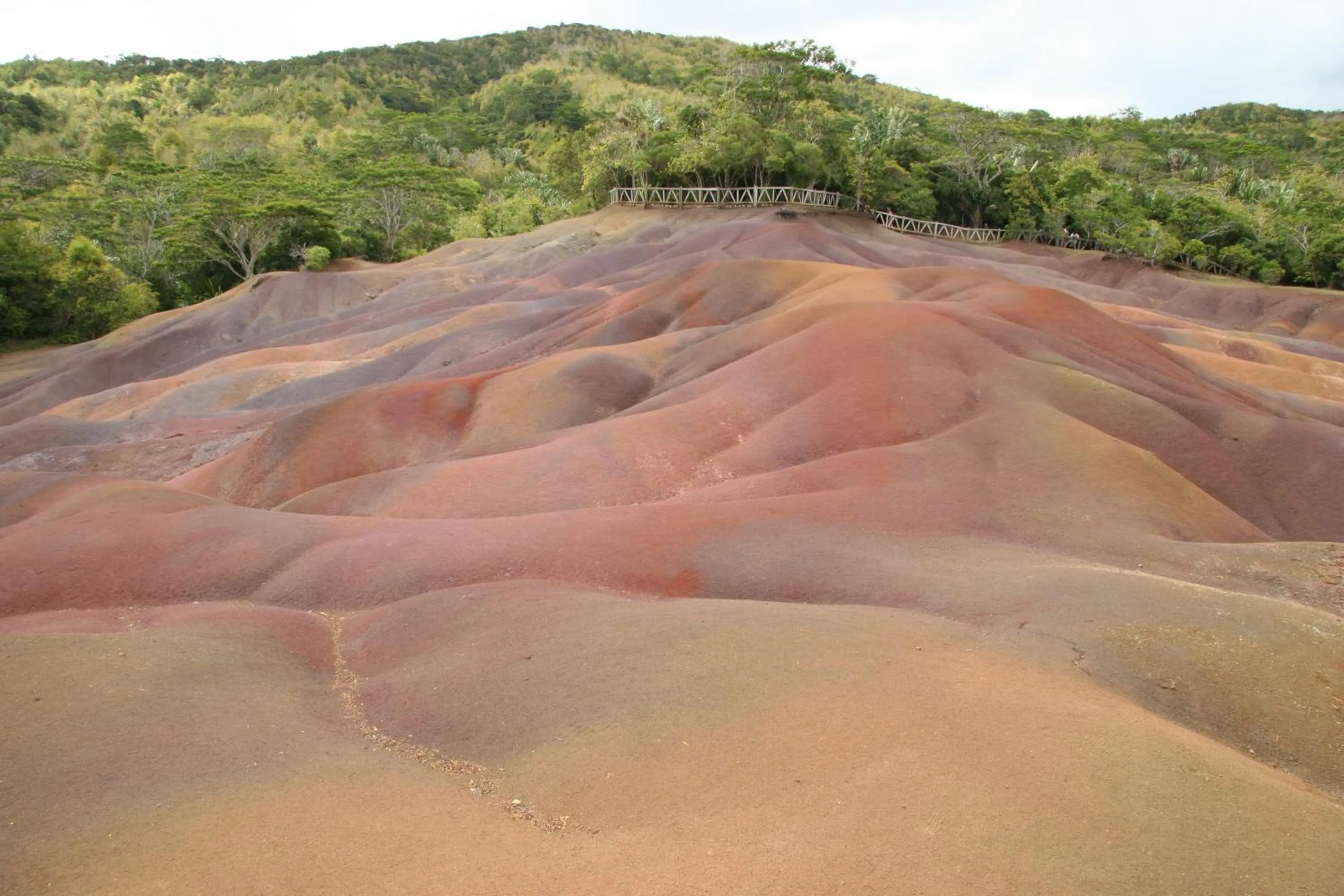 Area and facilities in Silver Beach Hotel