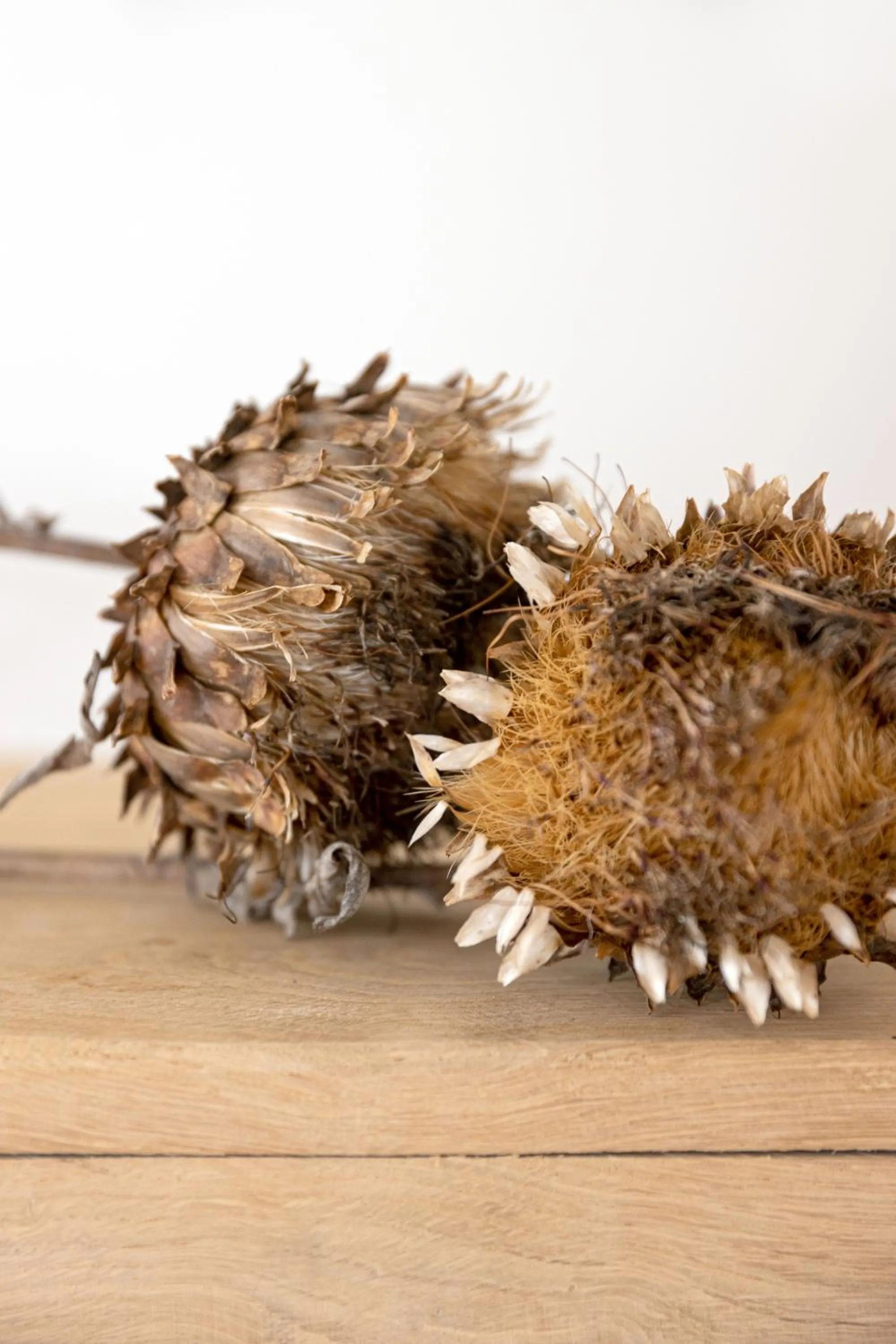 Decorative detail in Het Verblijf