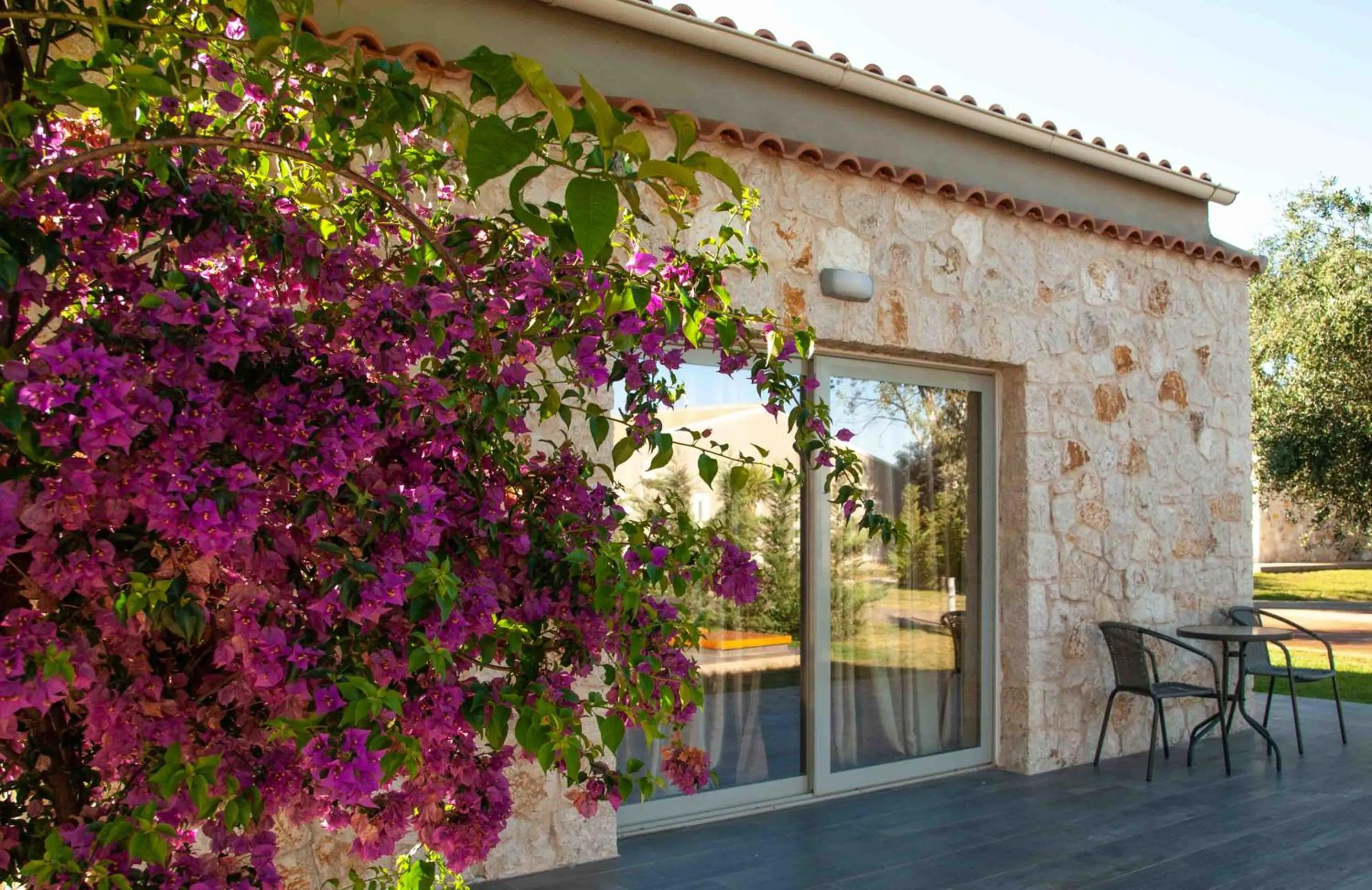 Garden view in LAGUNA HOLIDAY RESORT